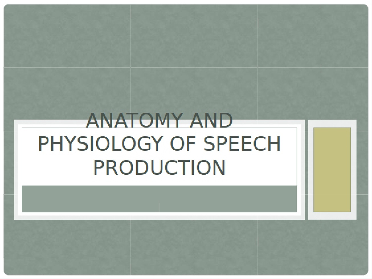 Speech Production Physiology and Anatomy