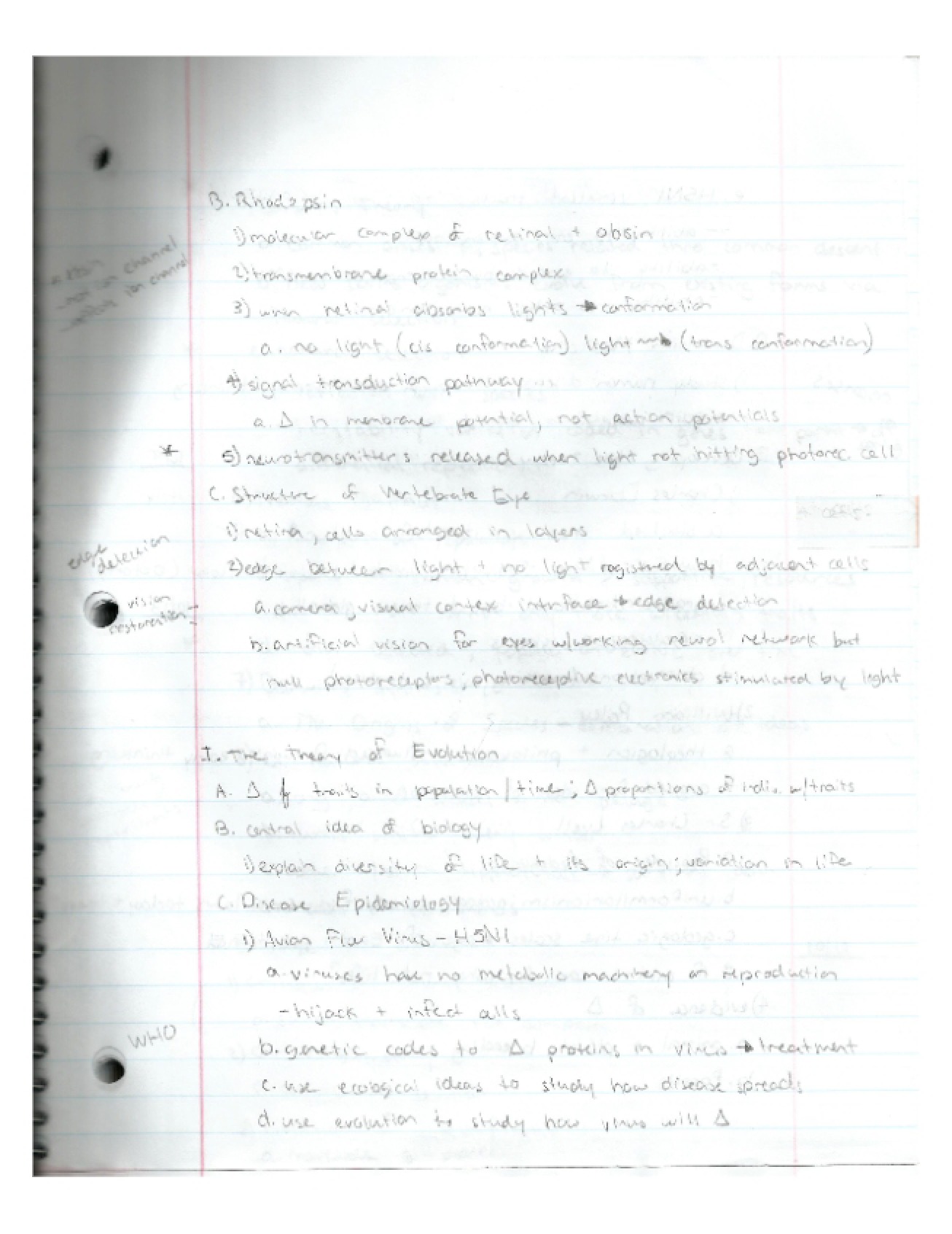 Biology II Notes Part 20