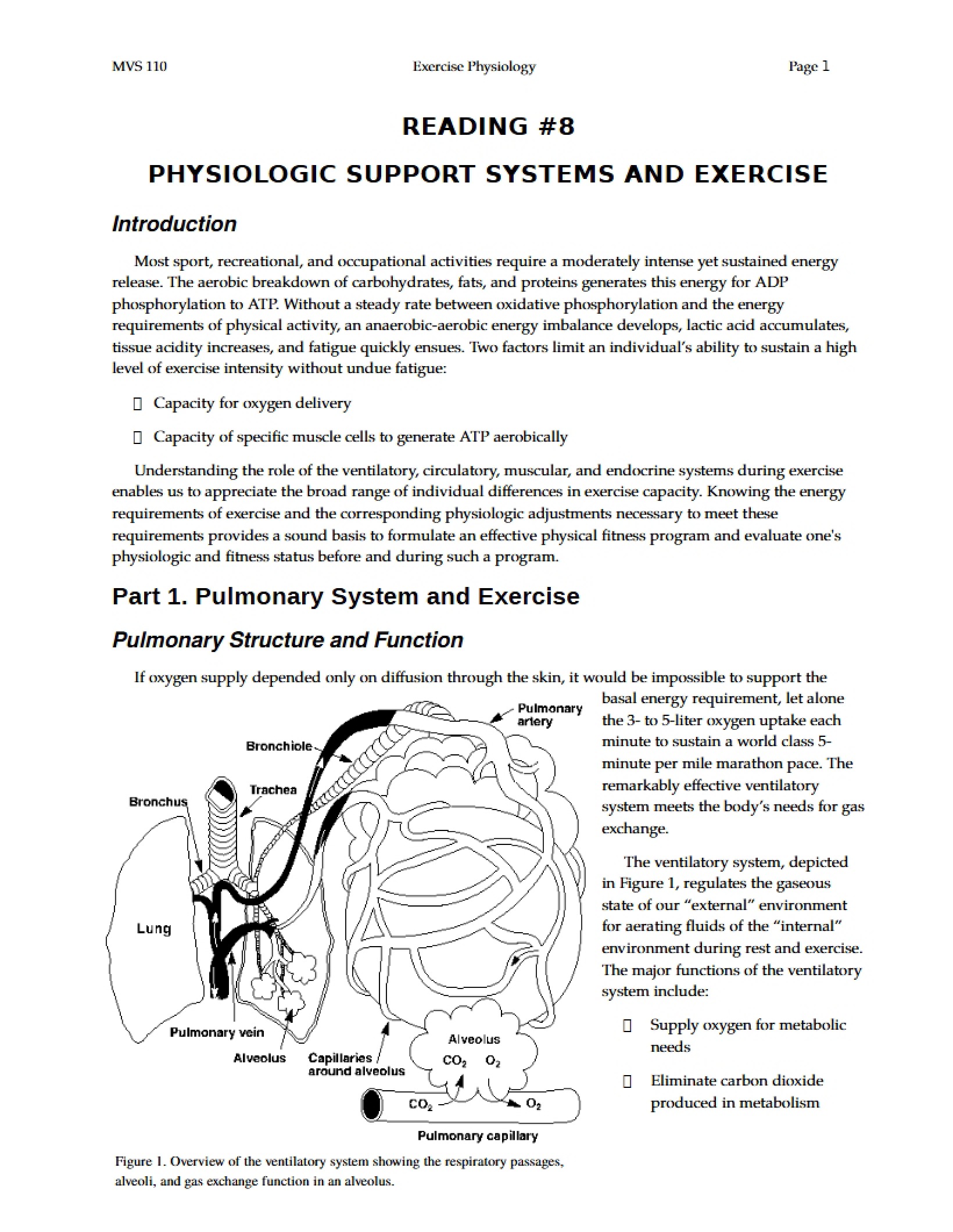 Exercise and Physiologic Support Systems Reading 8