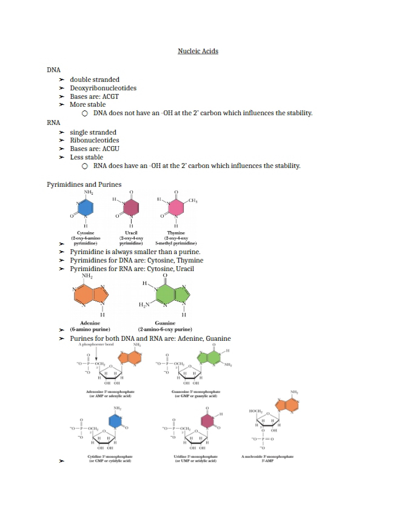 Guide for Biochemistry Study