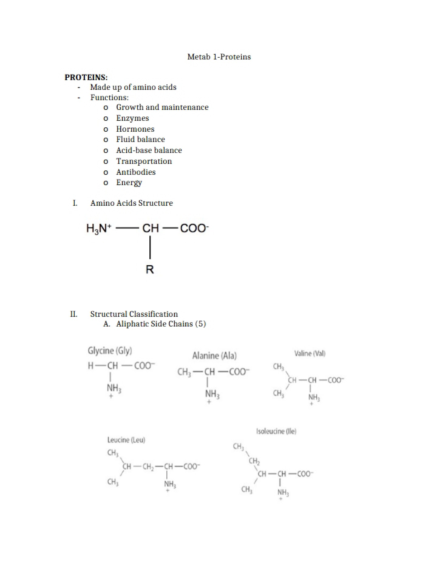 Amino Acid Chains and Proteins