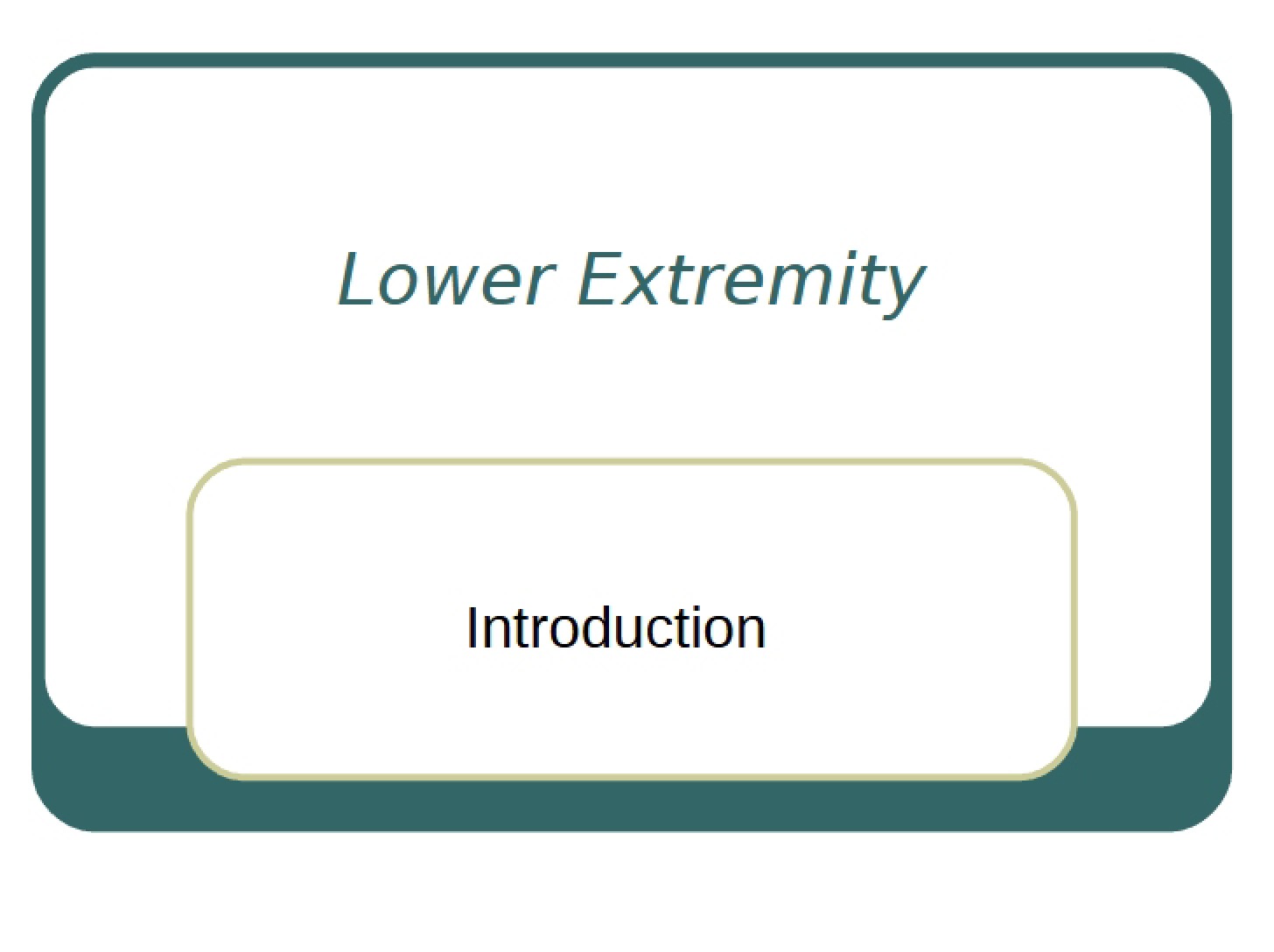 Lower Extremity Anatomy