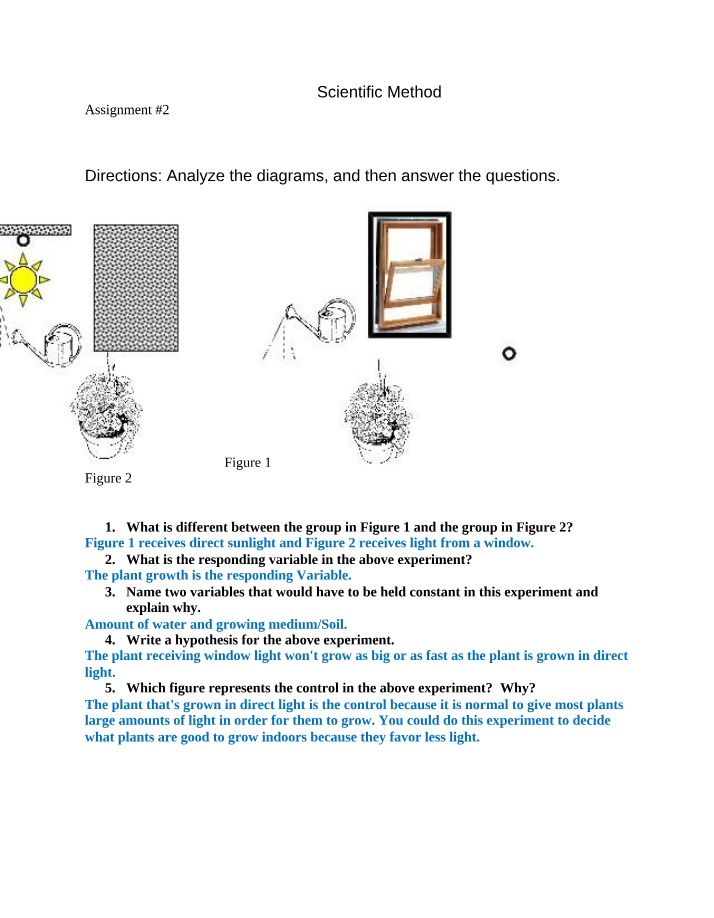 Scientific Method - Plant Growth Light Experiment
