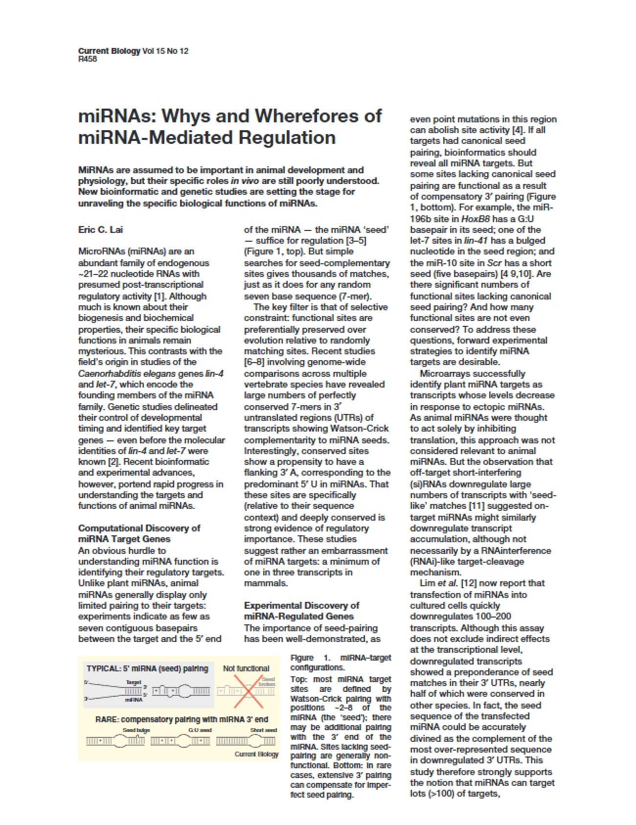 MicroRNA Regulatory Functions
