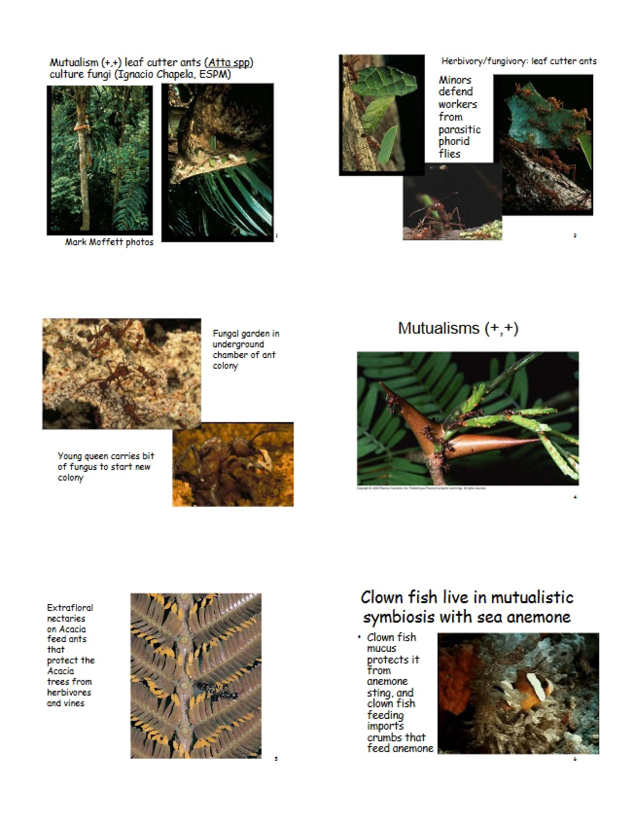 Ecological Science