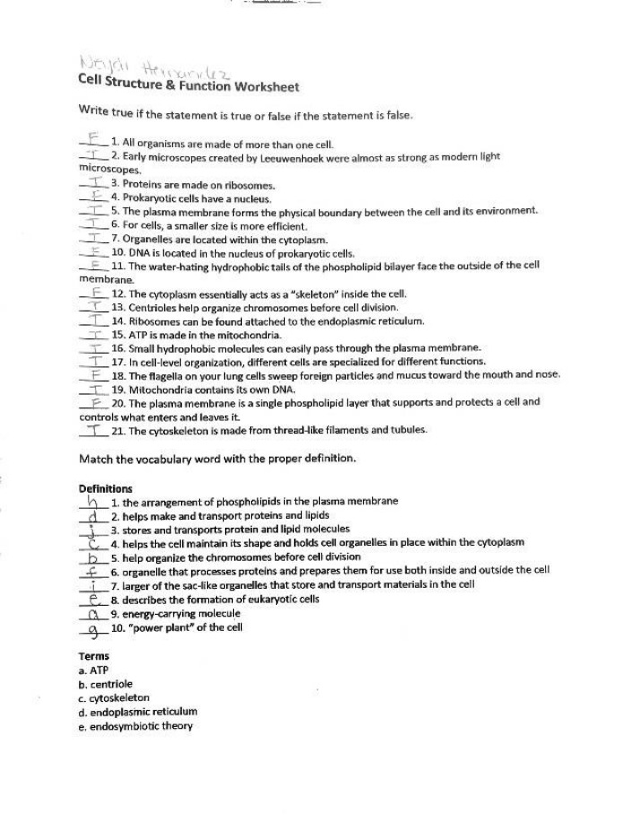 Worksheet on Cell Structure & Function