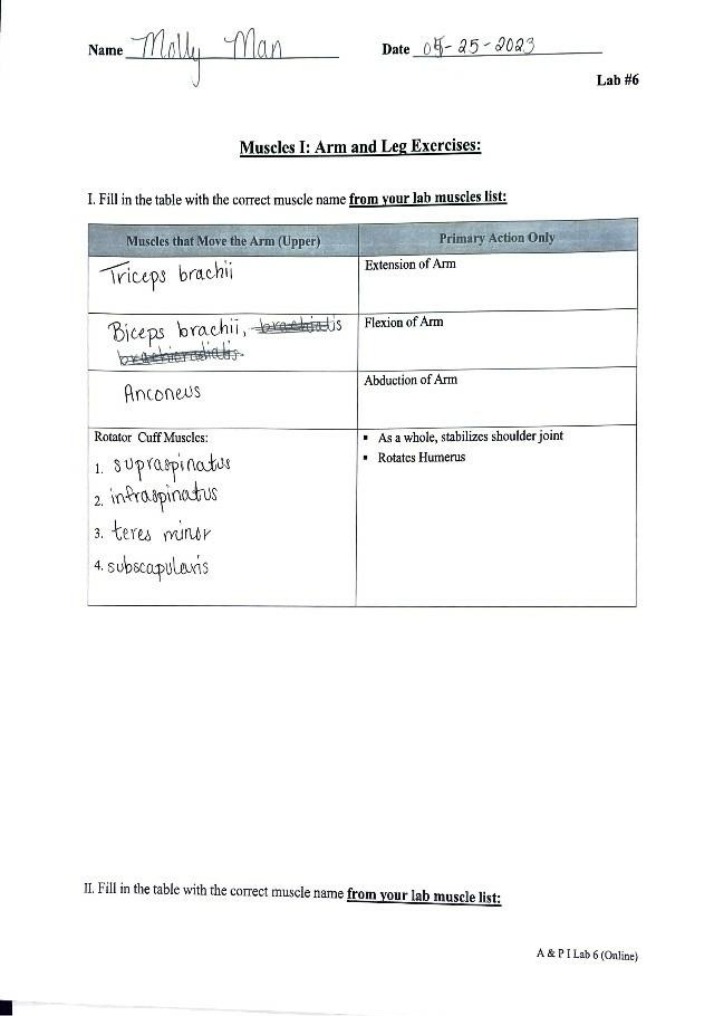 Worksheet for Lab 6