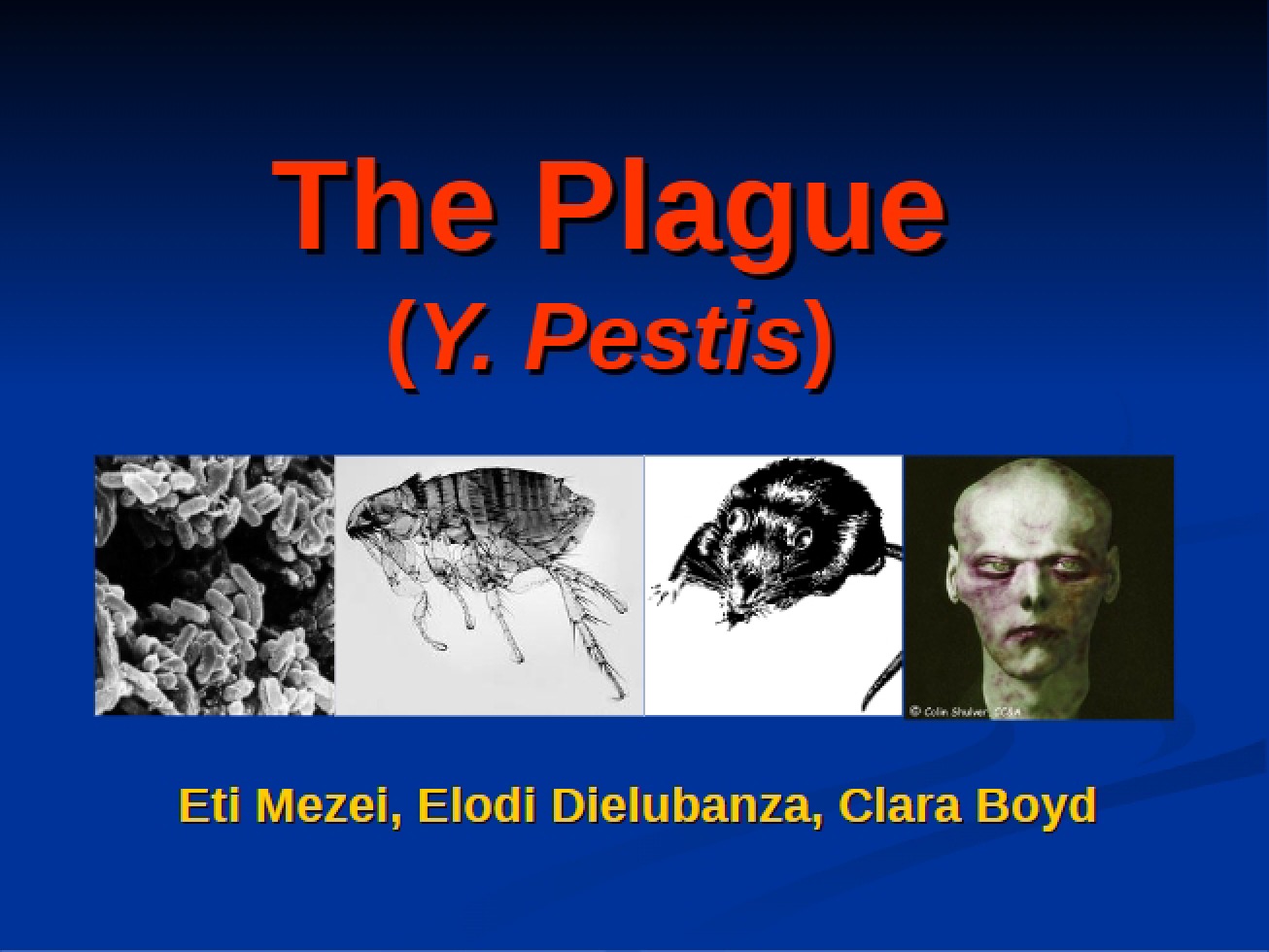 Plague Part One