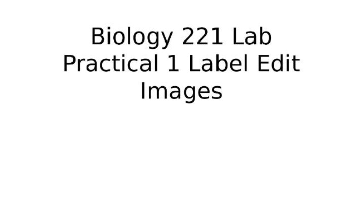 Lab Practical 1 Label Edit Images (Biology 221)