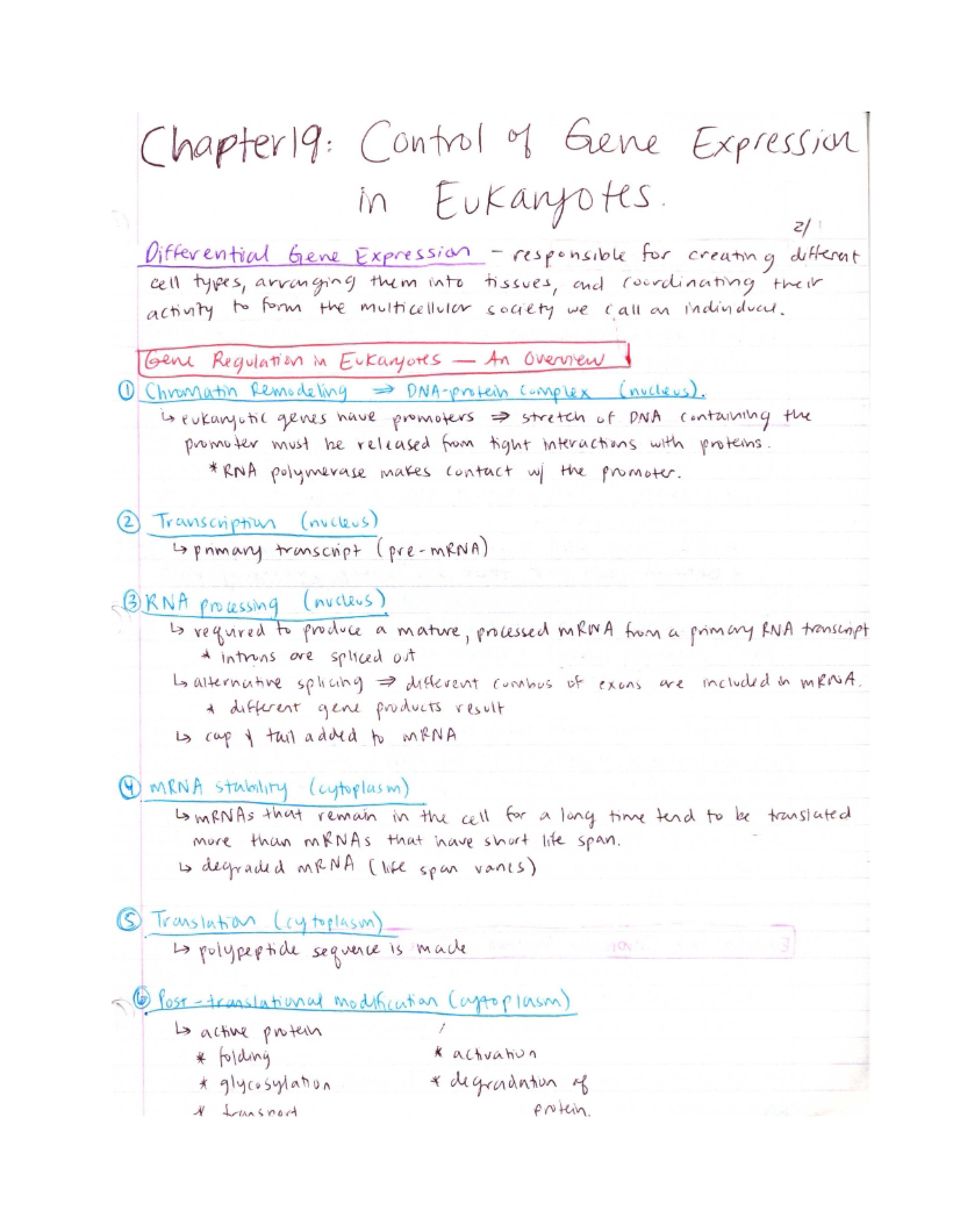 Gene Expression Control