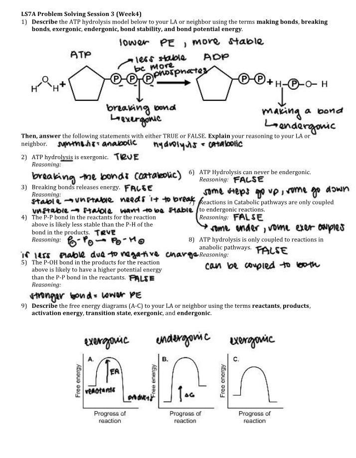 Problem Solving Session 3 - ATP Hydrolysis, Bond Stability, and Energy Release