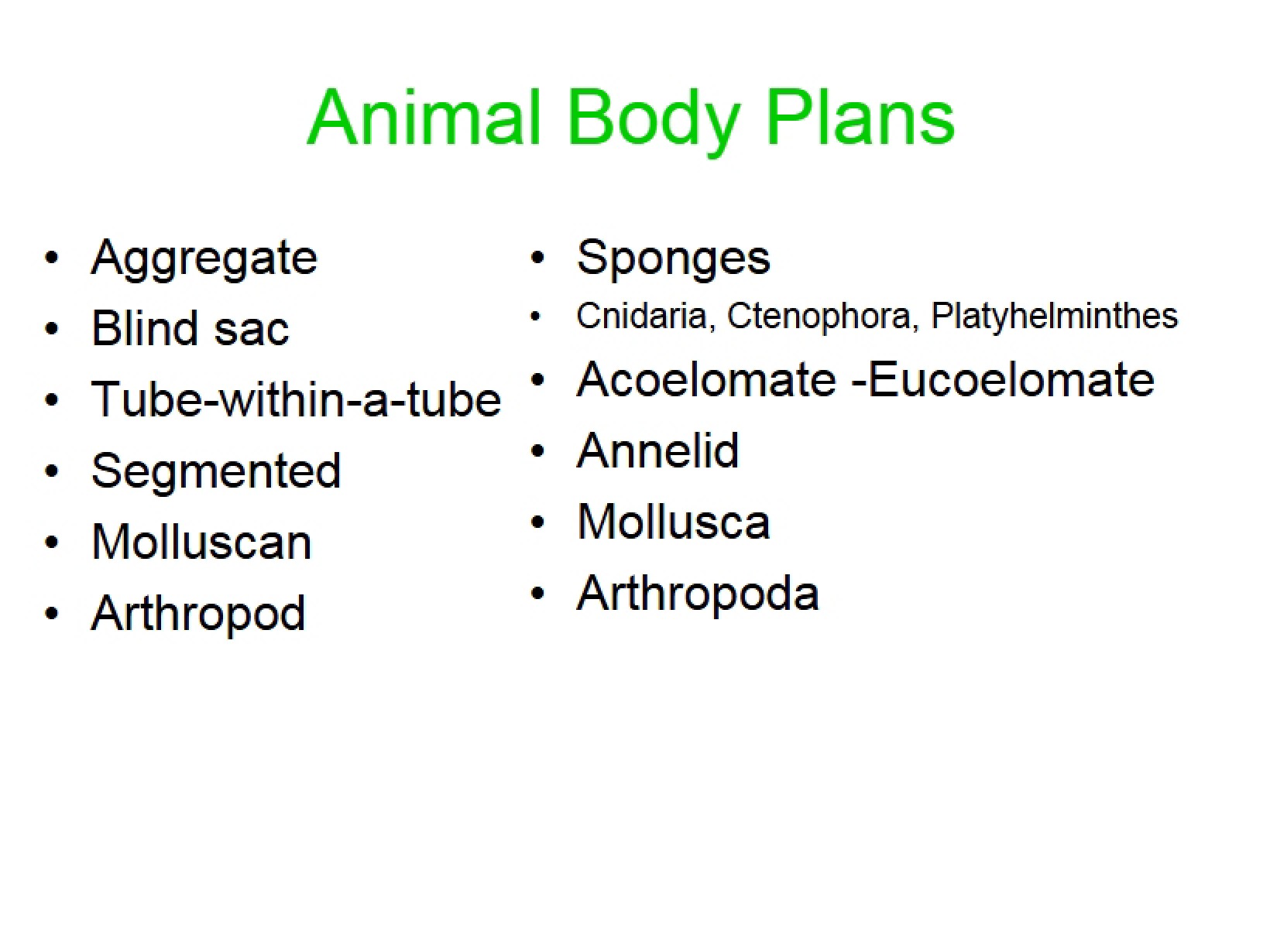 Animal Body Plans (Lecture 41)