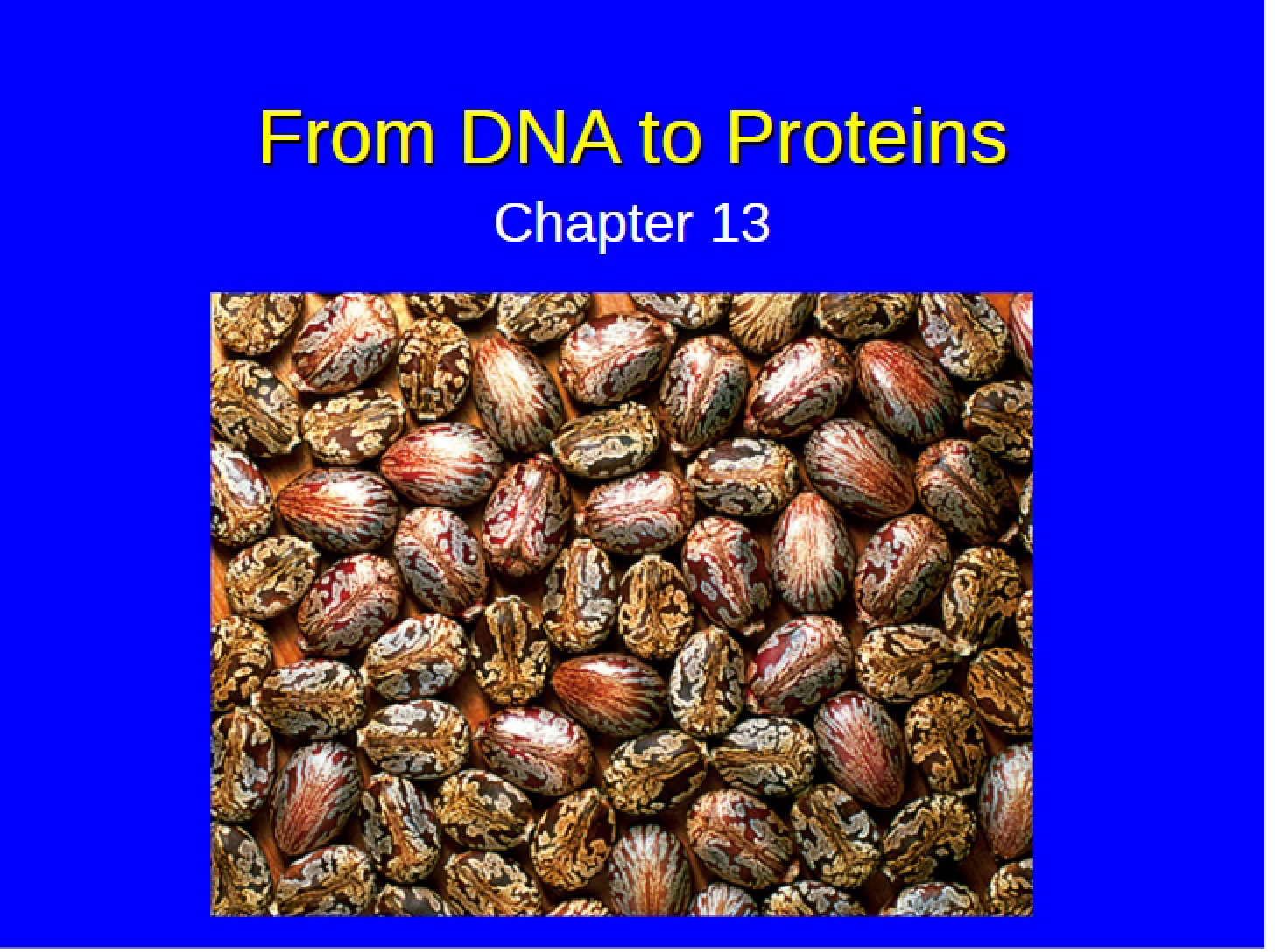 Proteins from DNA