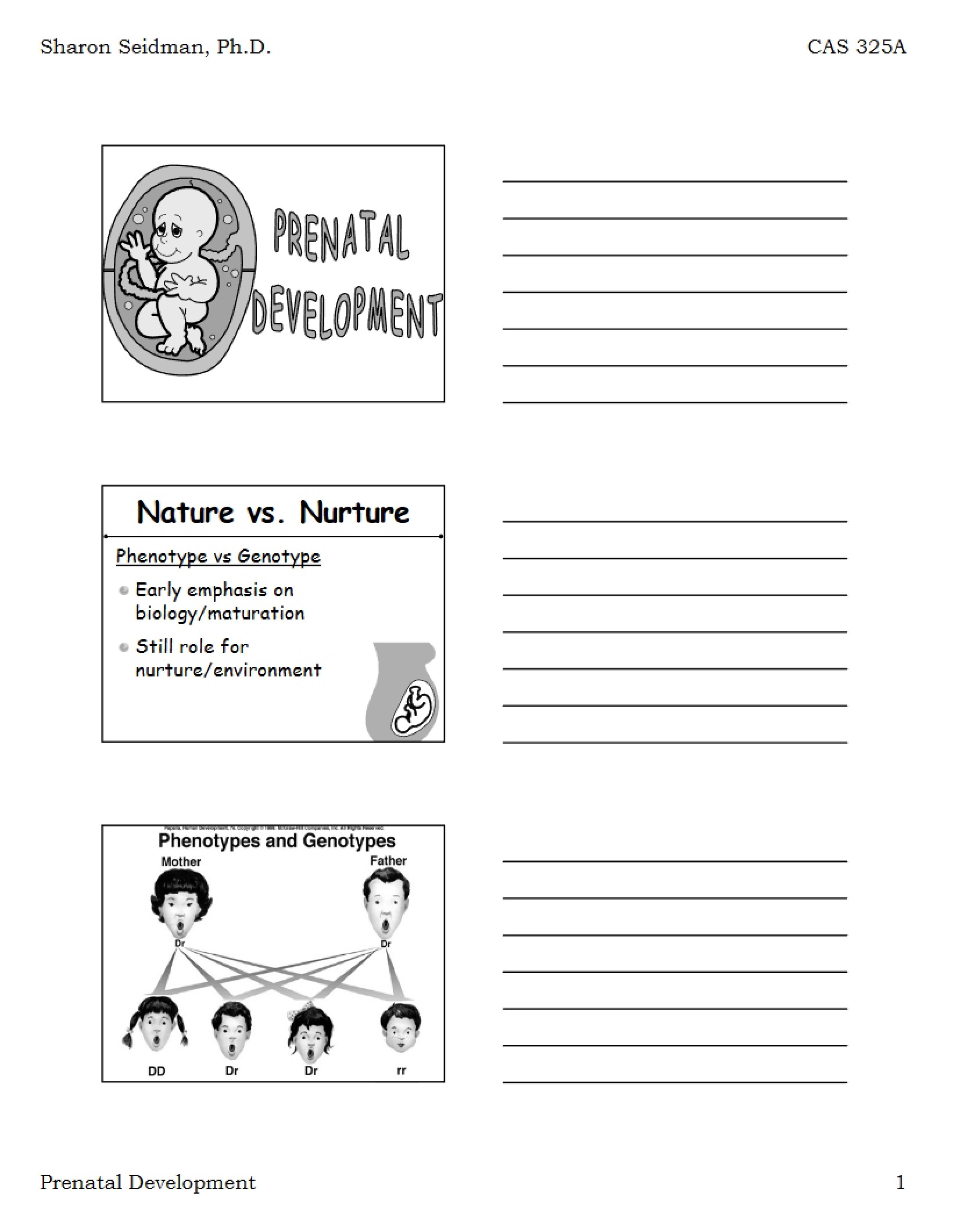 Prenatal Development Concepts