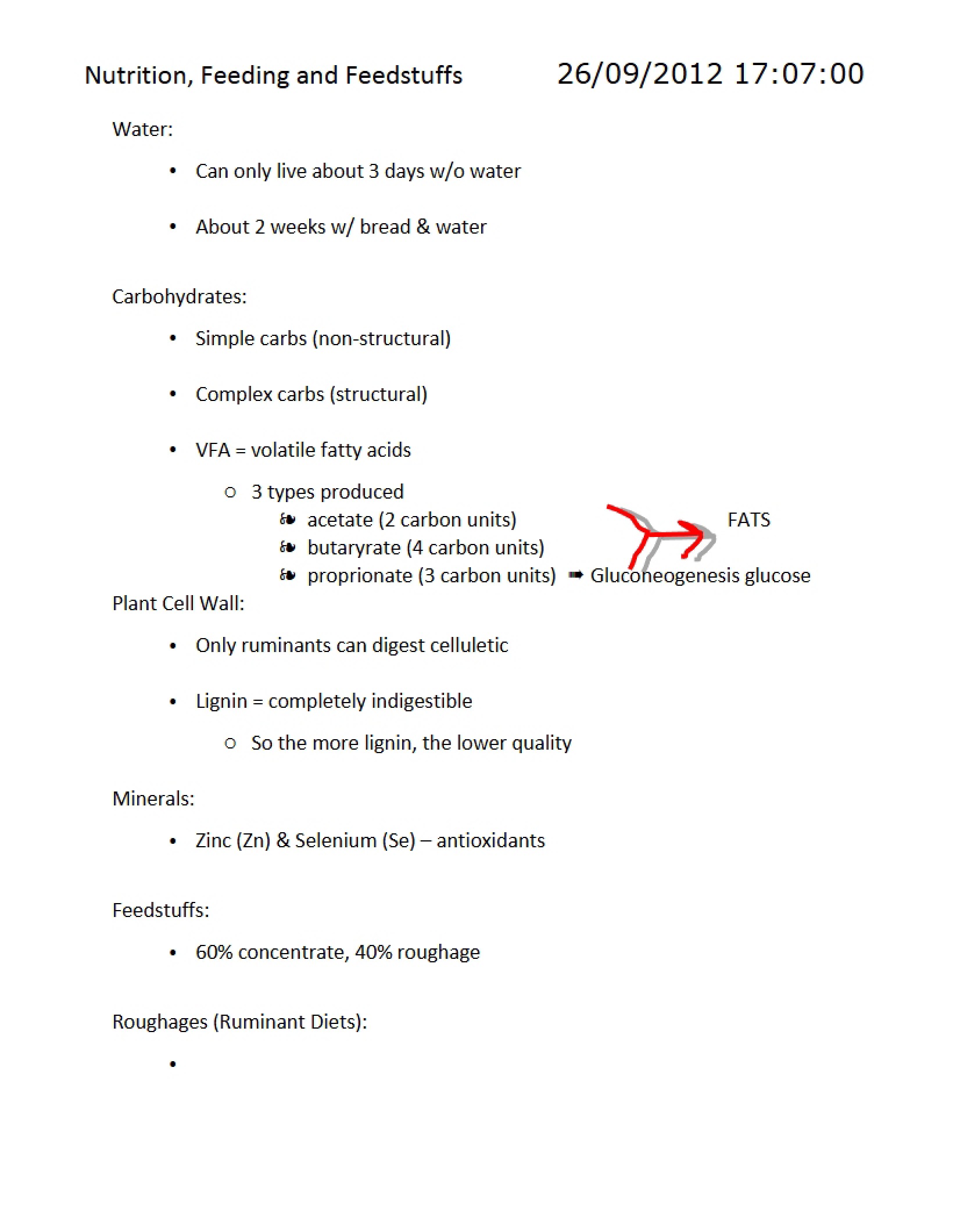 Class Lecture Notes