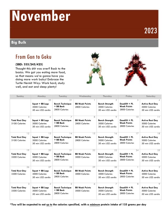 Strength Training Program - November 2023