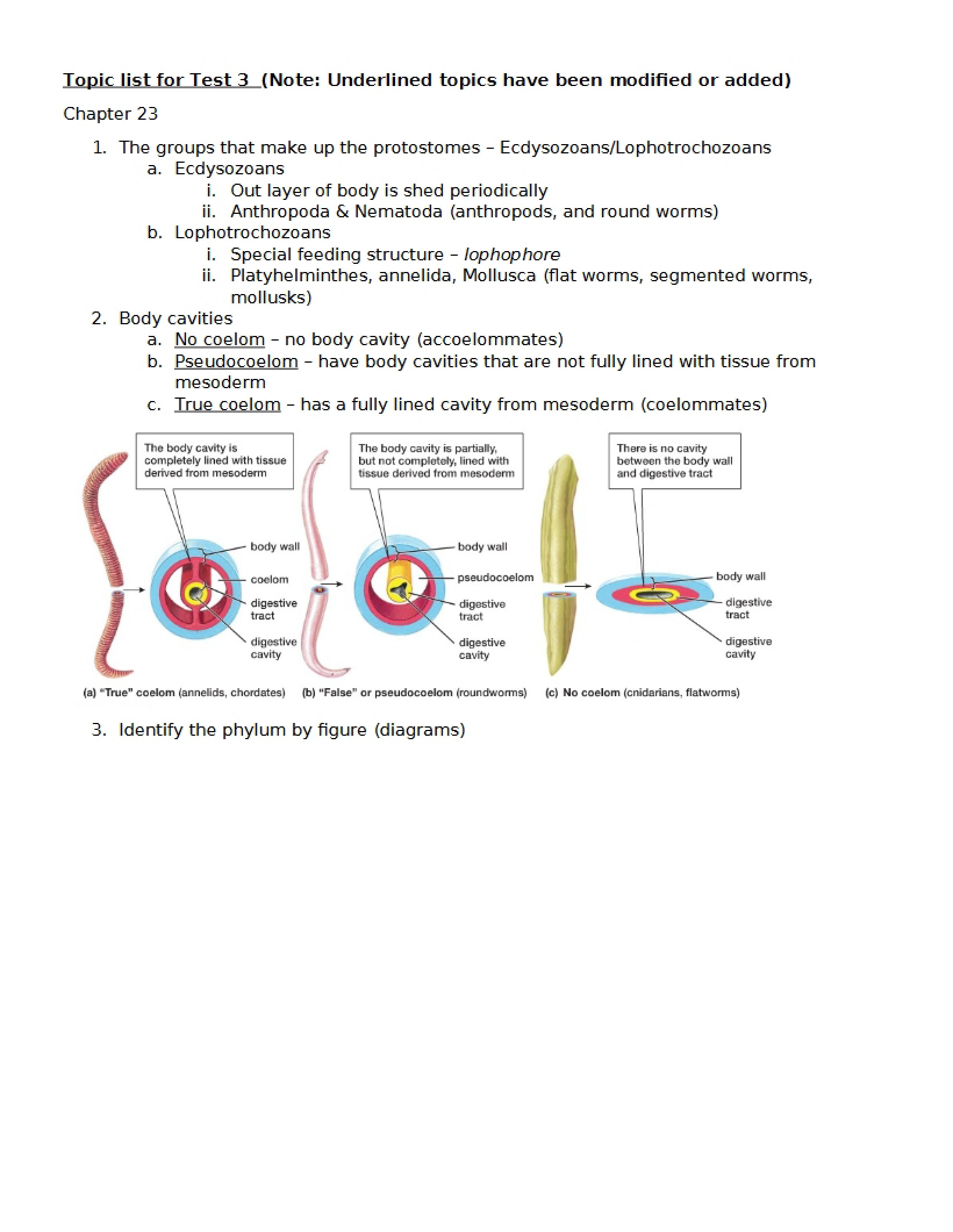 Test 3 Topic List