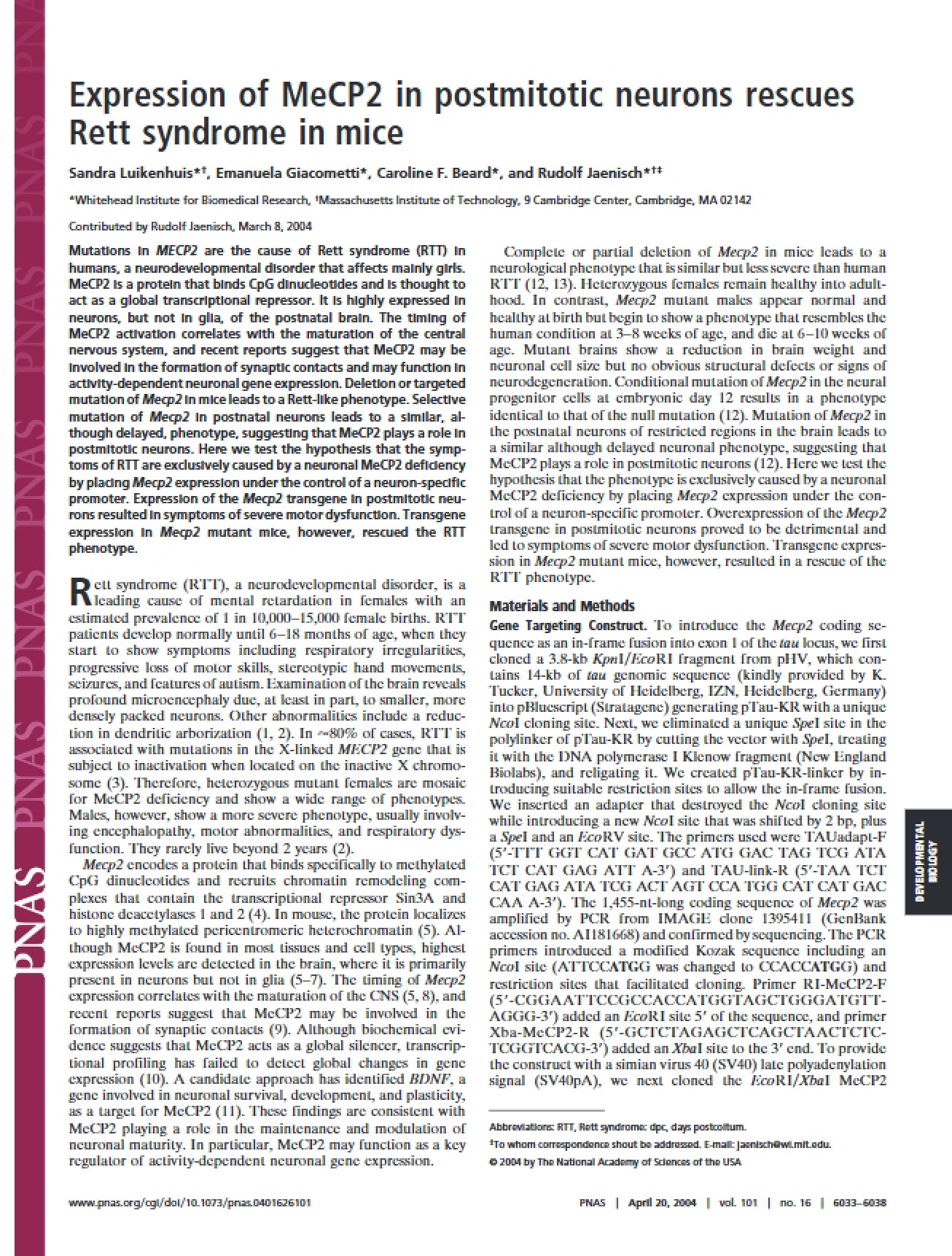 Rescue via MeCP2 Expression in Postmitotic Neurons 1