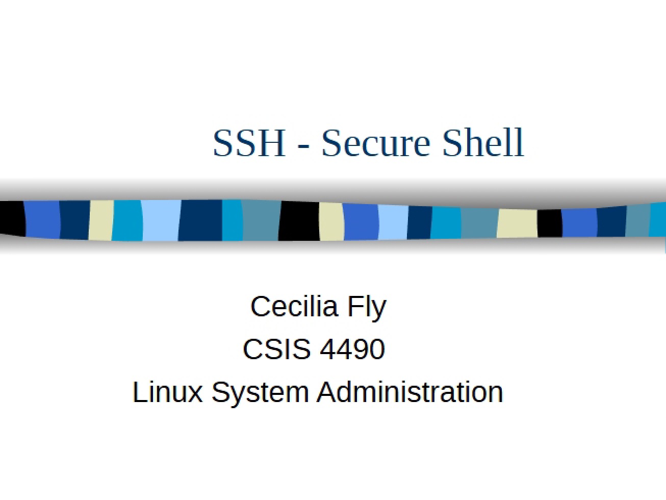 Utilizing Secure Shell (SSH) Protocol