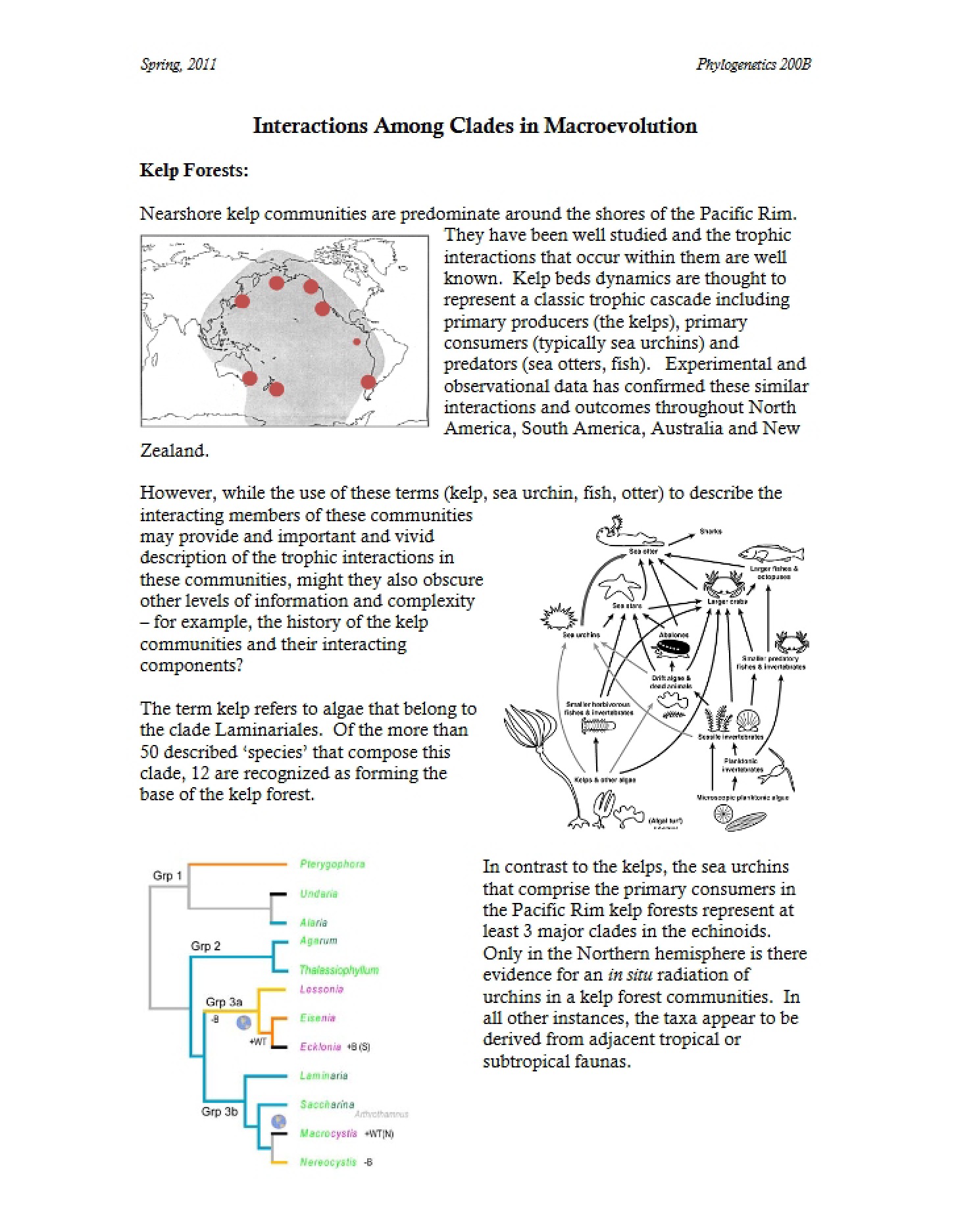 Macroevolution Clade Interactions