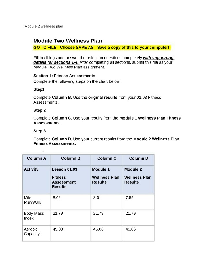 Wellness Plan for Module 2