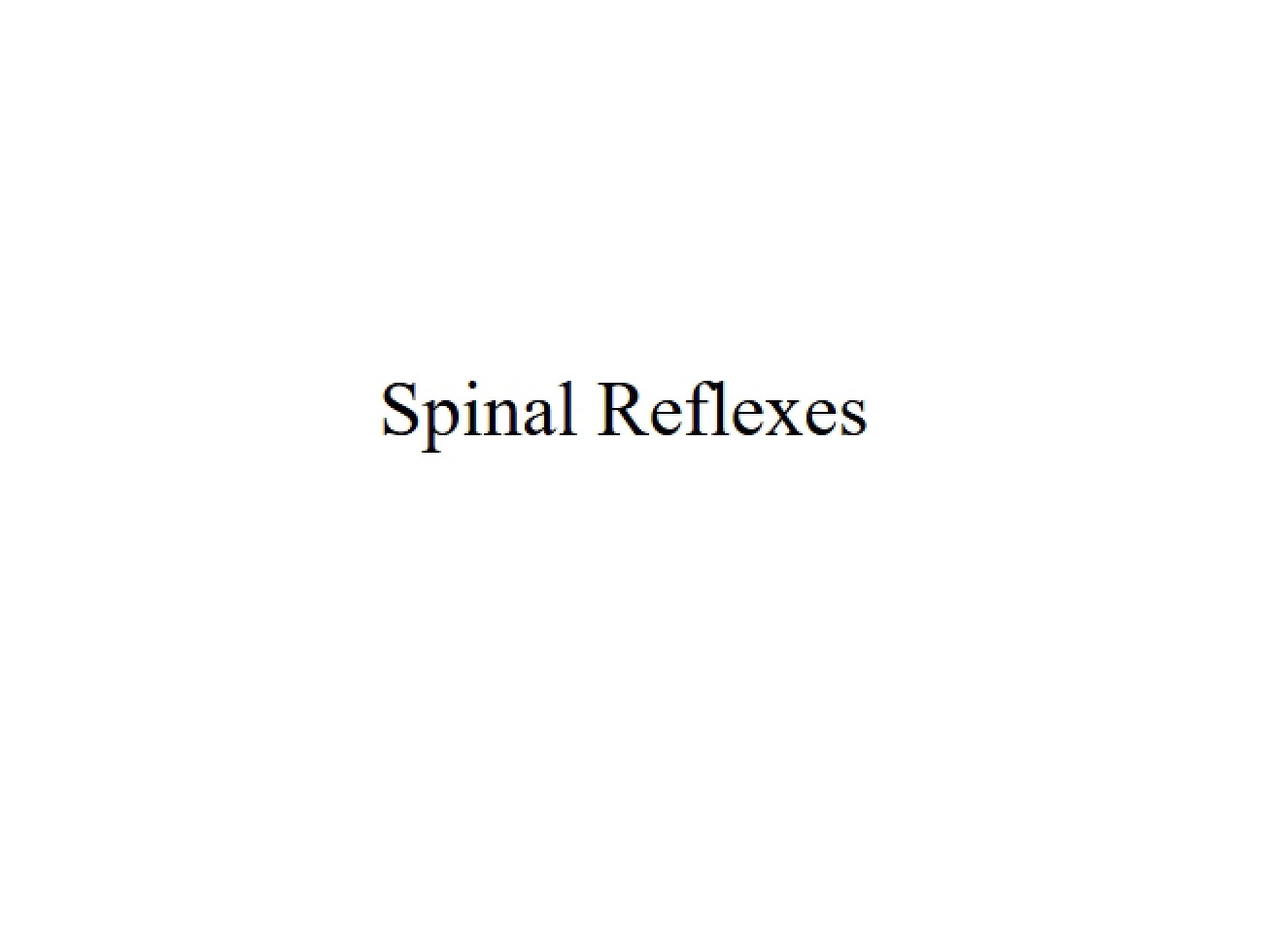 Lecture 19 Spinal Reflexes