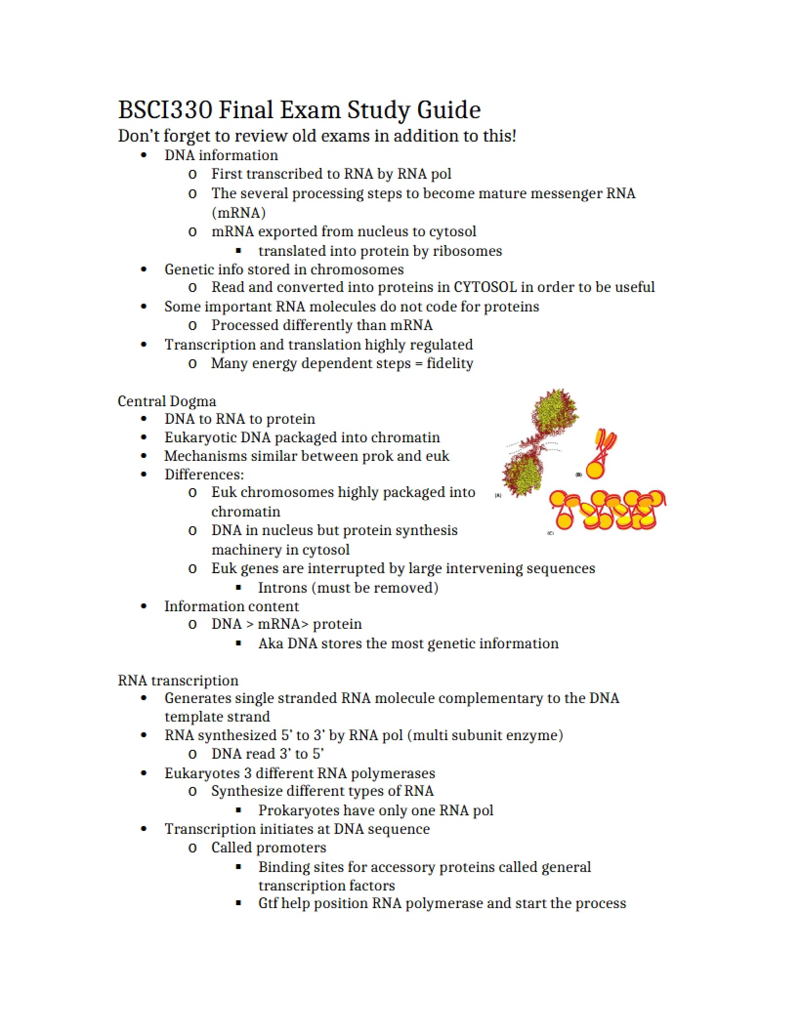End-of-Term Assessment Review