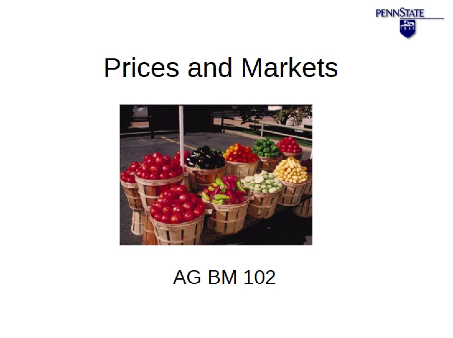 Market Pricing Dynamics