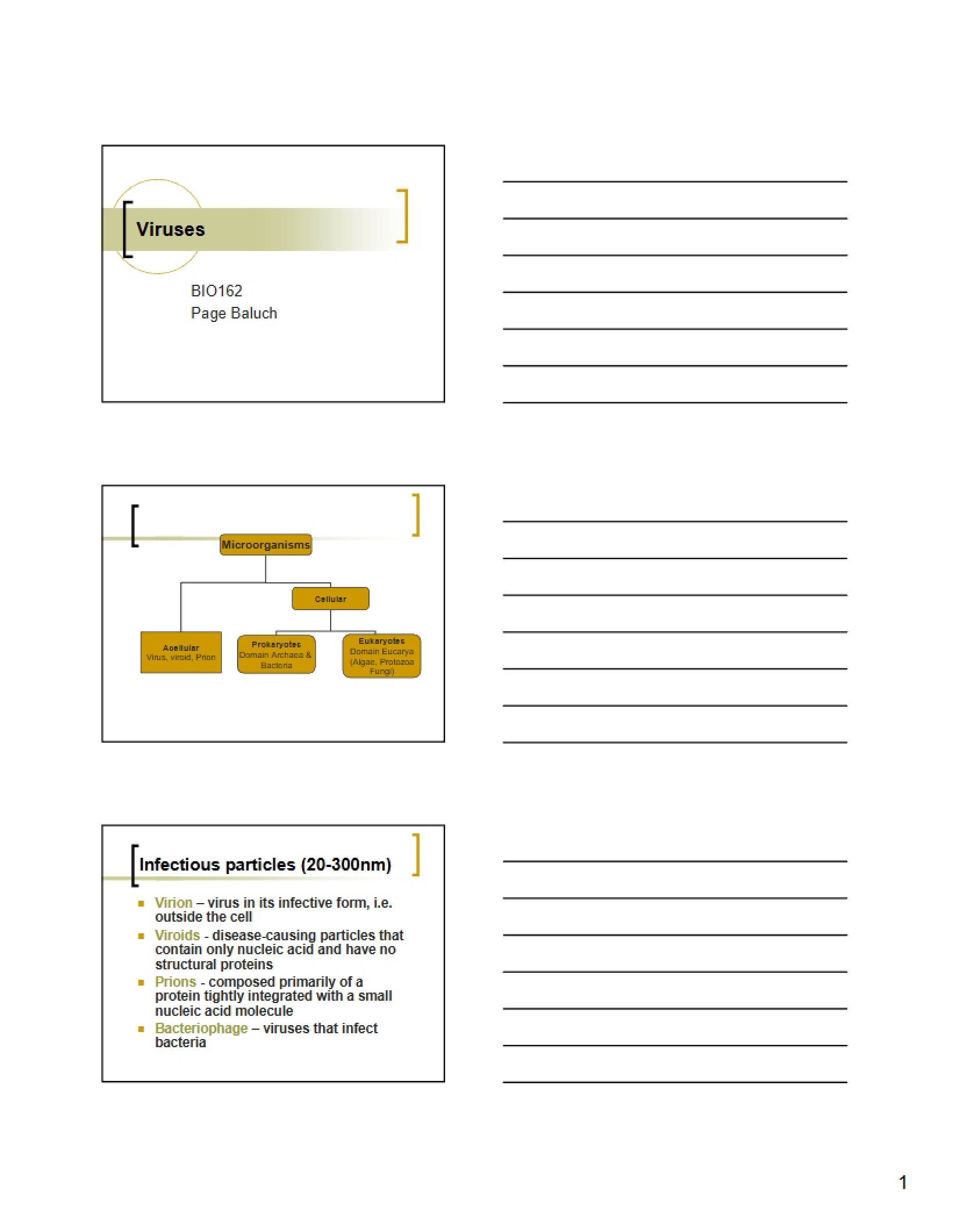 Virology Part One