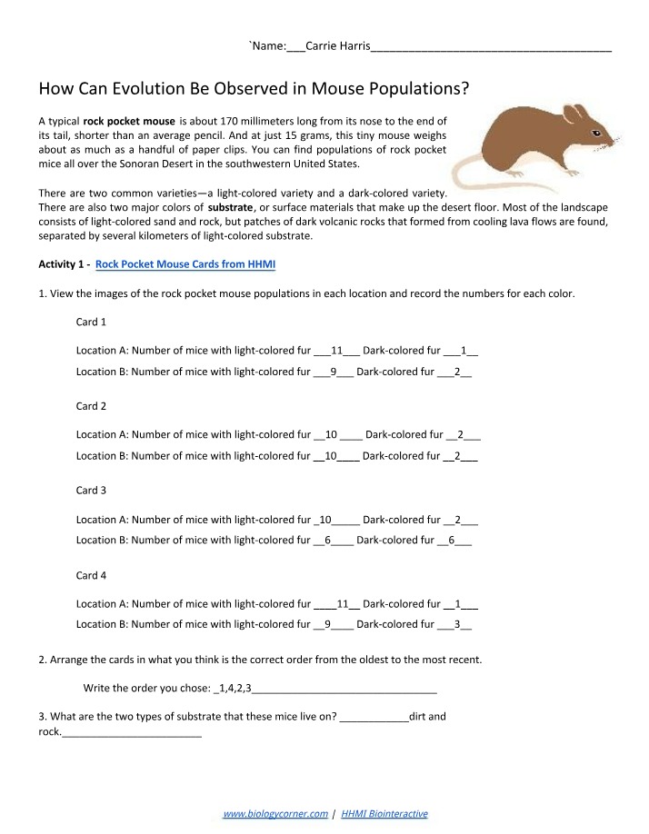 Observing Evolution in Mouse Populations - Rock Insights