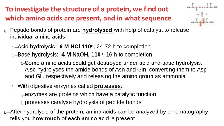 Investigating Amino Acid Sequence and Protein Structure