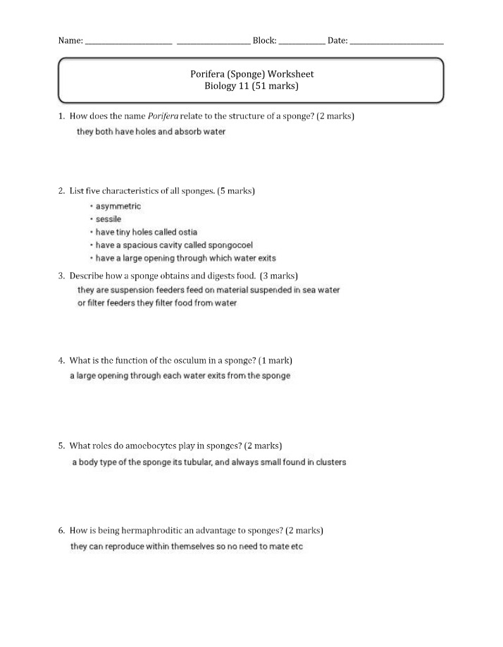 Worksheet on Porifera (Sponges)