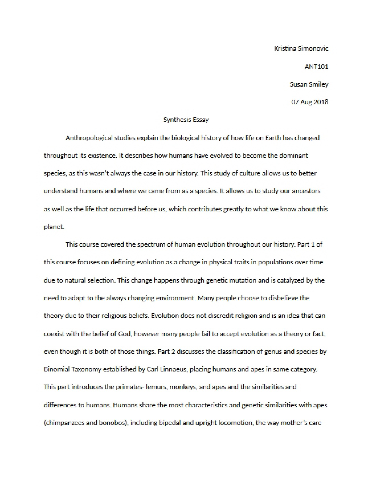 Synthesis Assignment (kzs6)