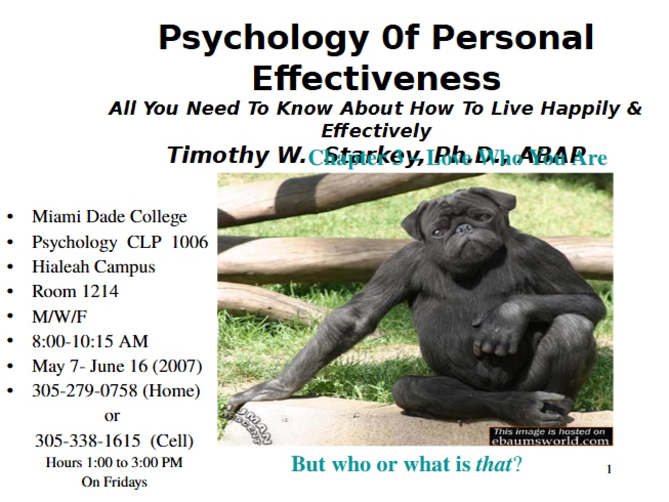 Personal Effectiveness Psychology