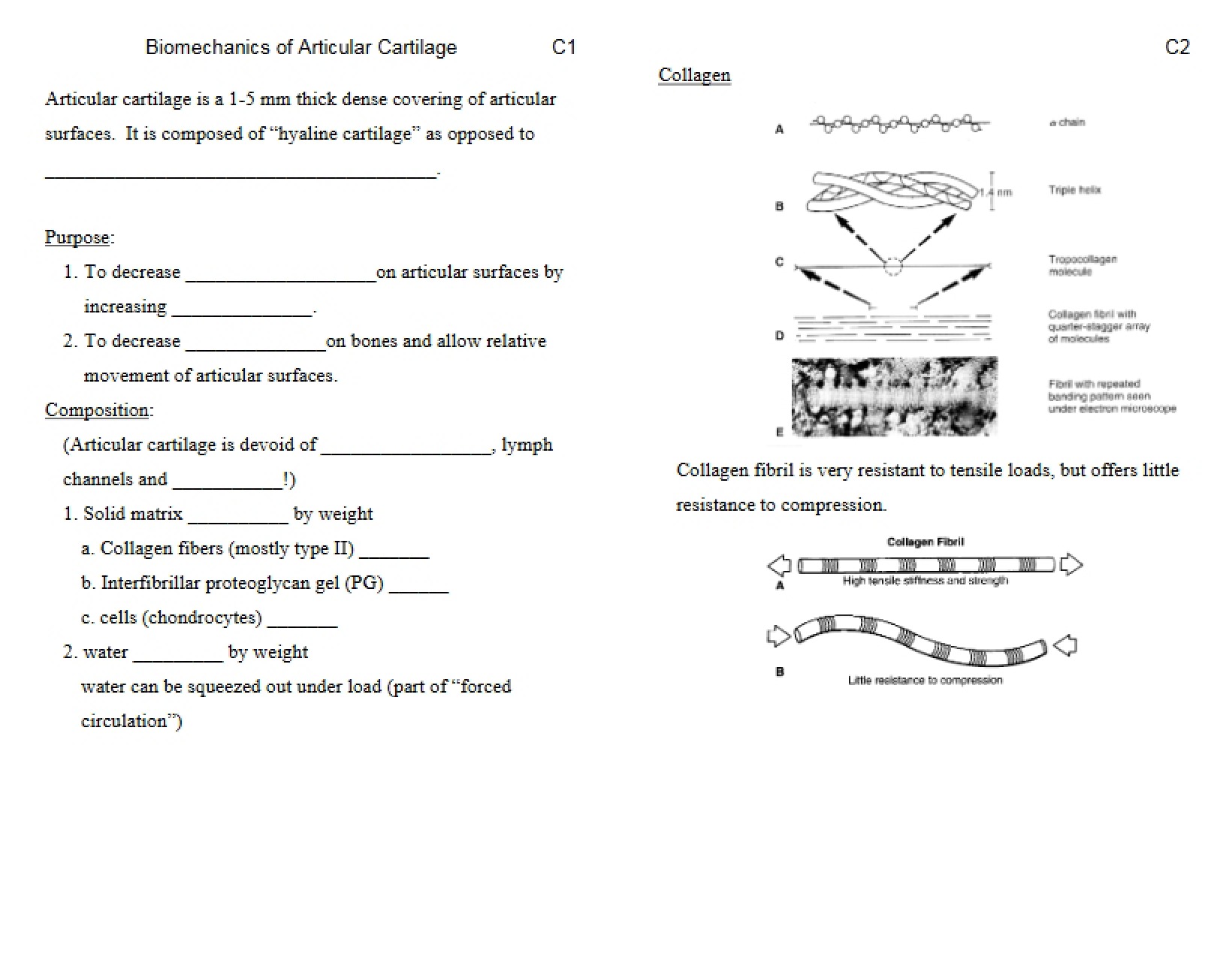 Articular Cartilage Biomechanics