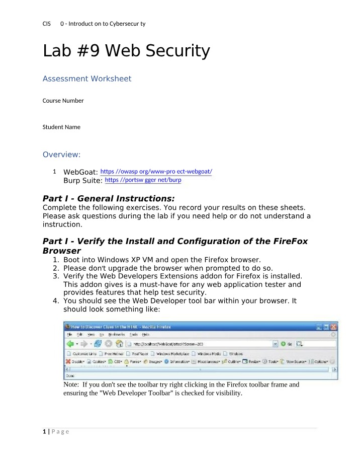 Web Security Assessment Worksheet - Lab 9