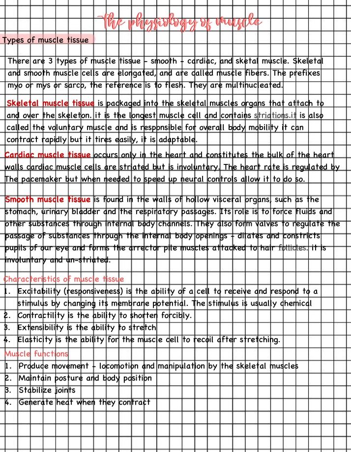 Muscle Physiology