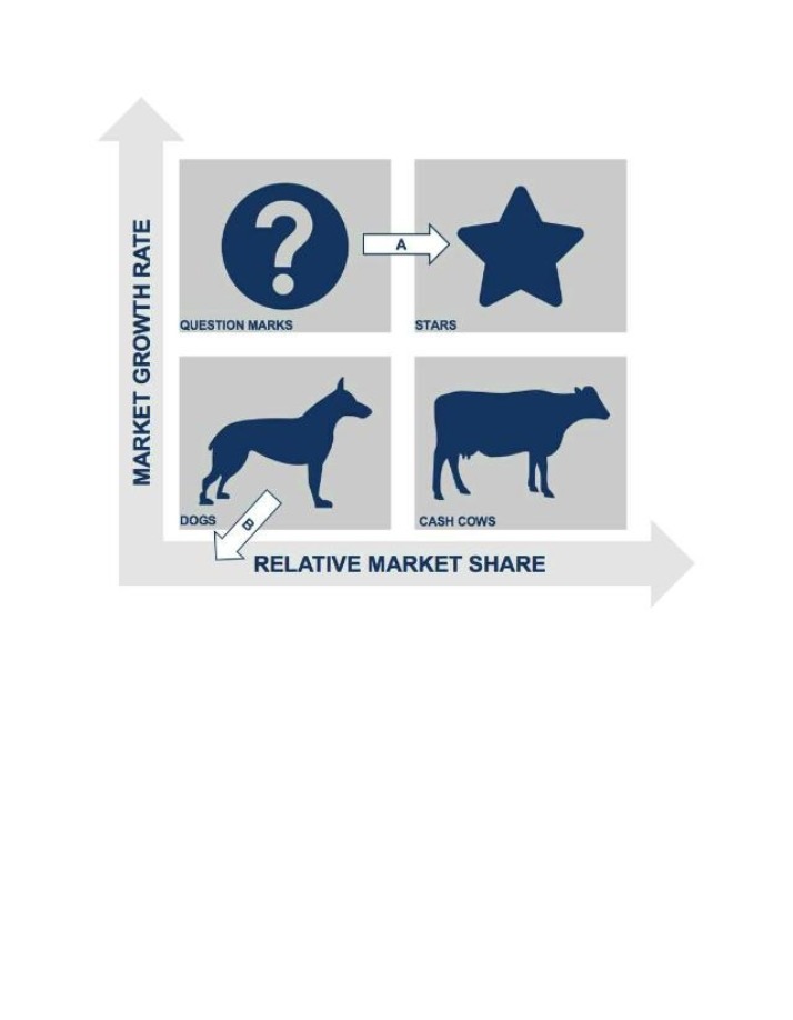 Tools for Reviewing Business Plans and Organisational Strategy