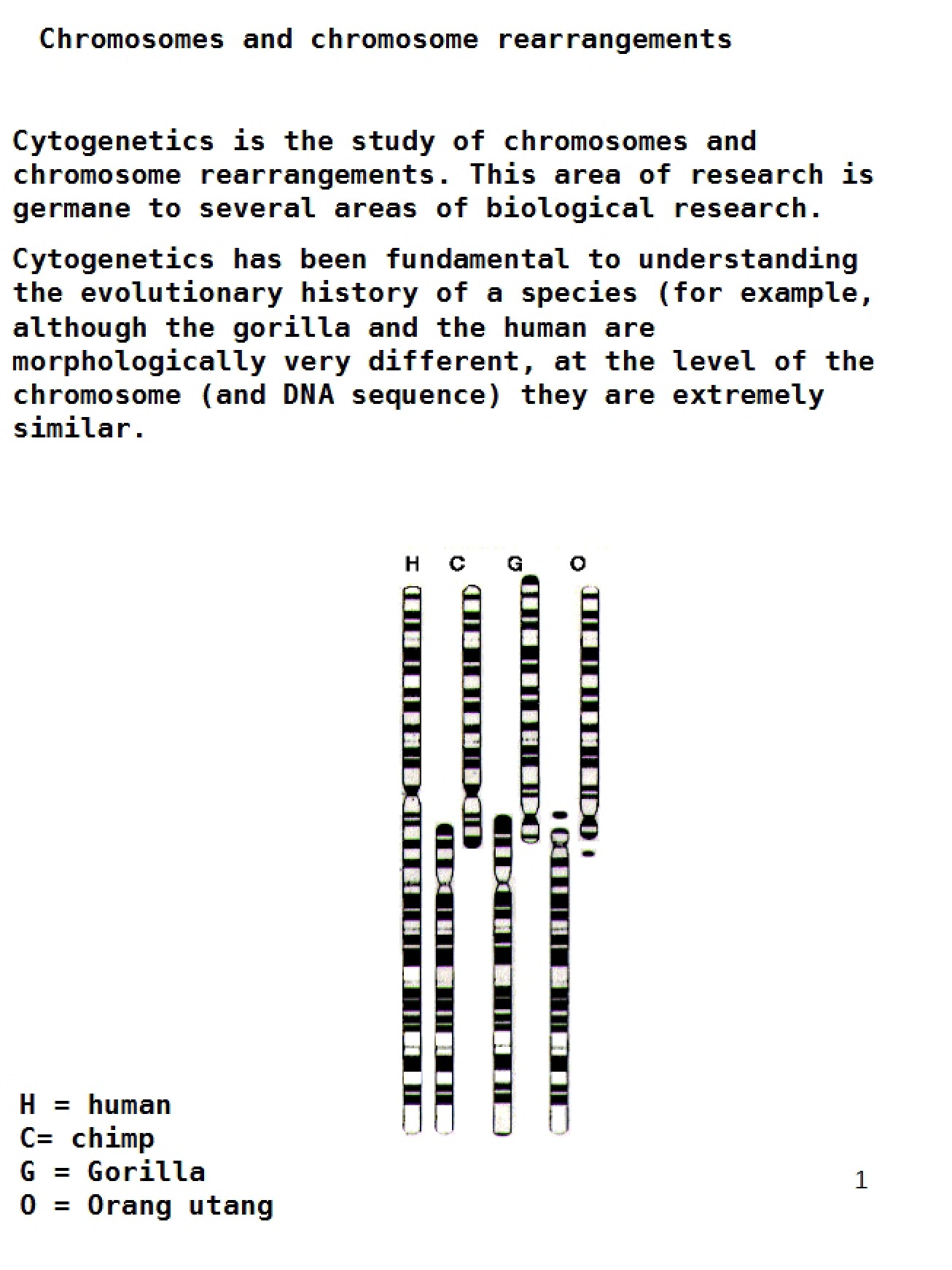 Chromosome Rearrangements and Chromosomes