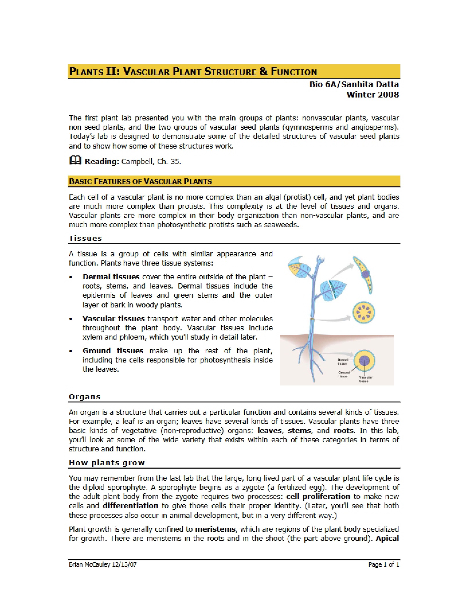 Vascular Plants Structure and Function