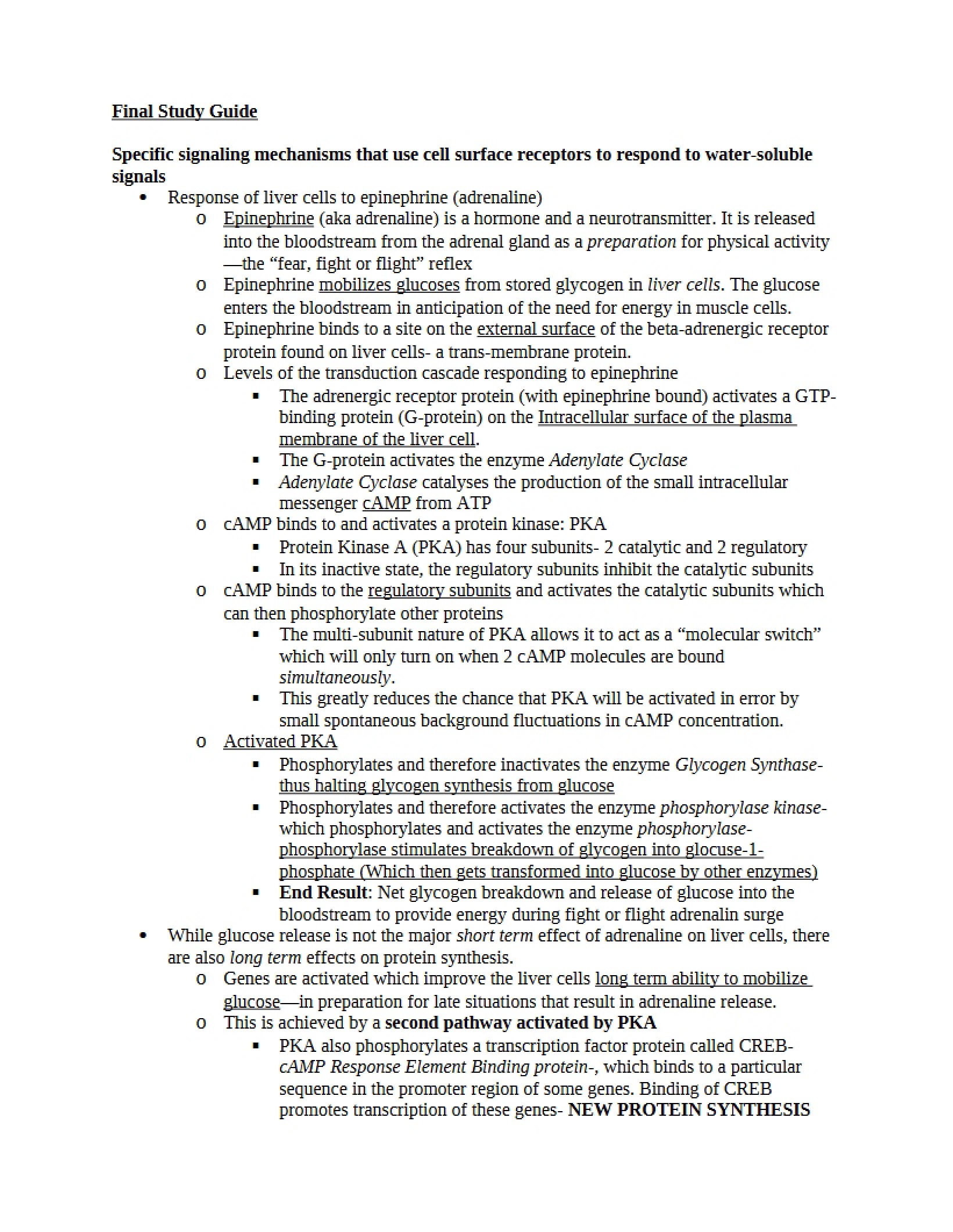 Summary Guide for Final Evaluation