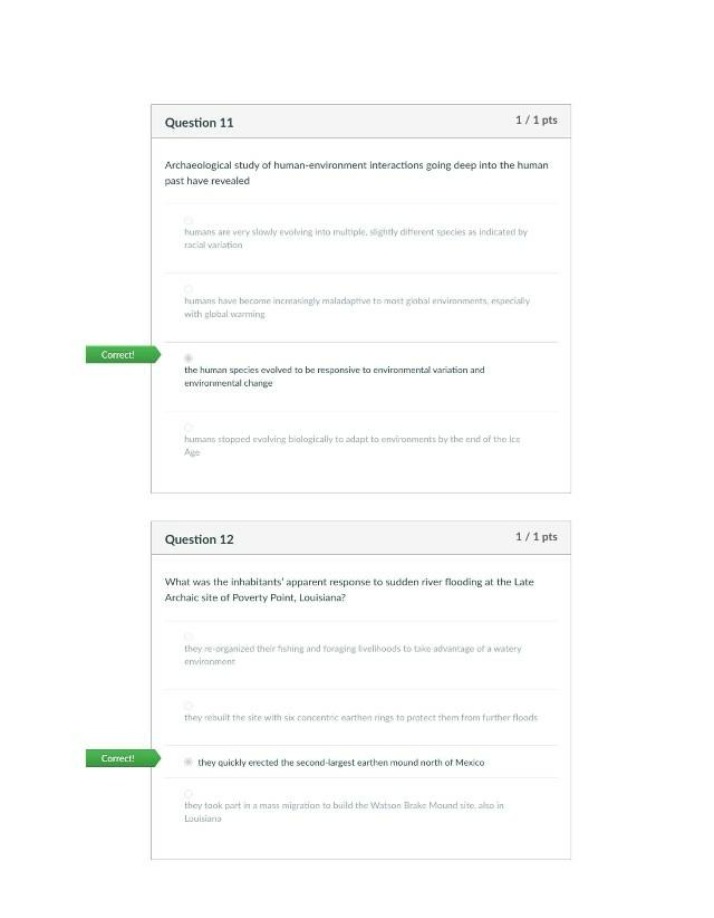 Module 9 Quiz - ANT2140