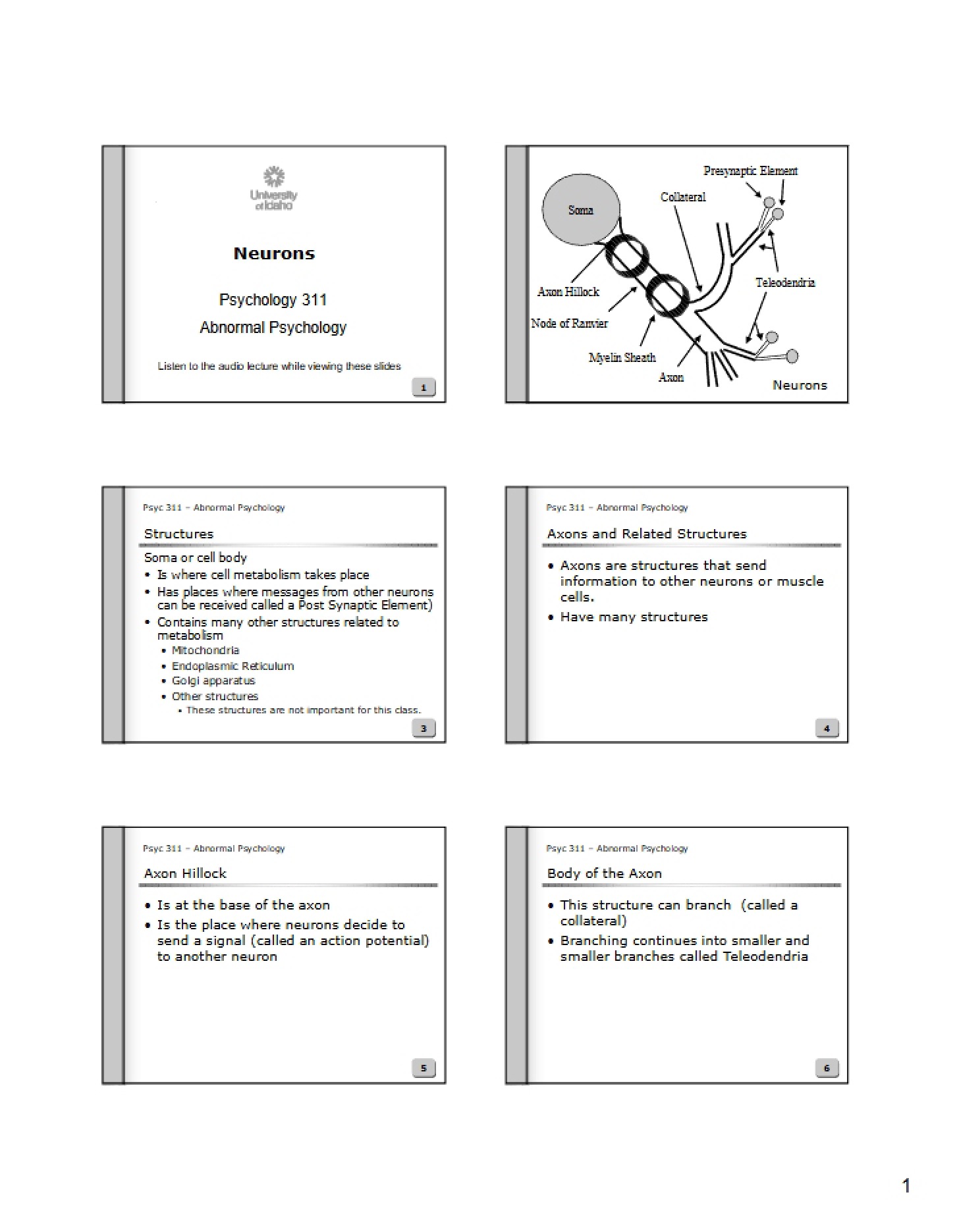 Neuronal Biology