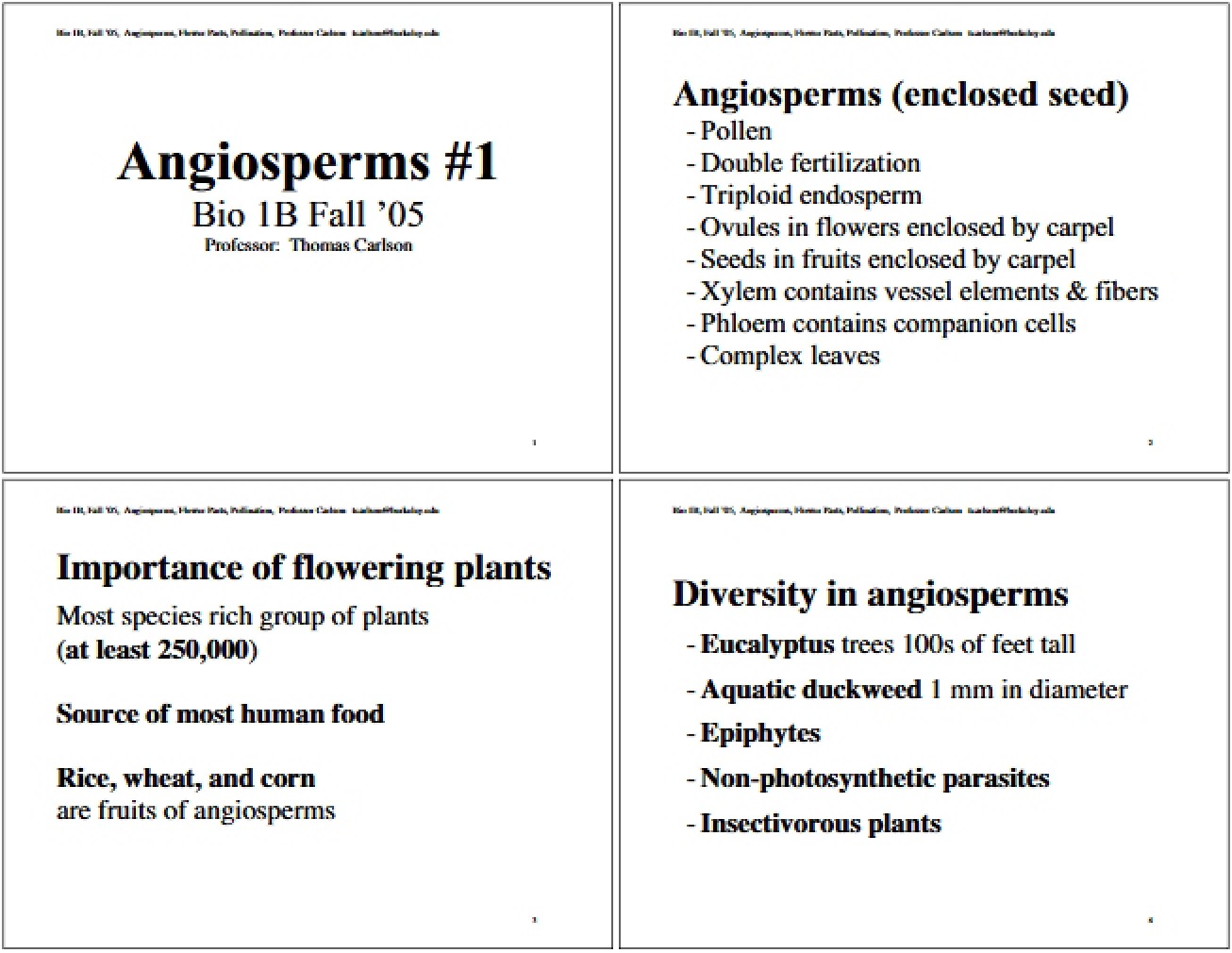 Angiosperm Characteristics