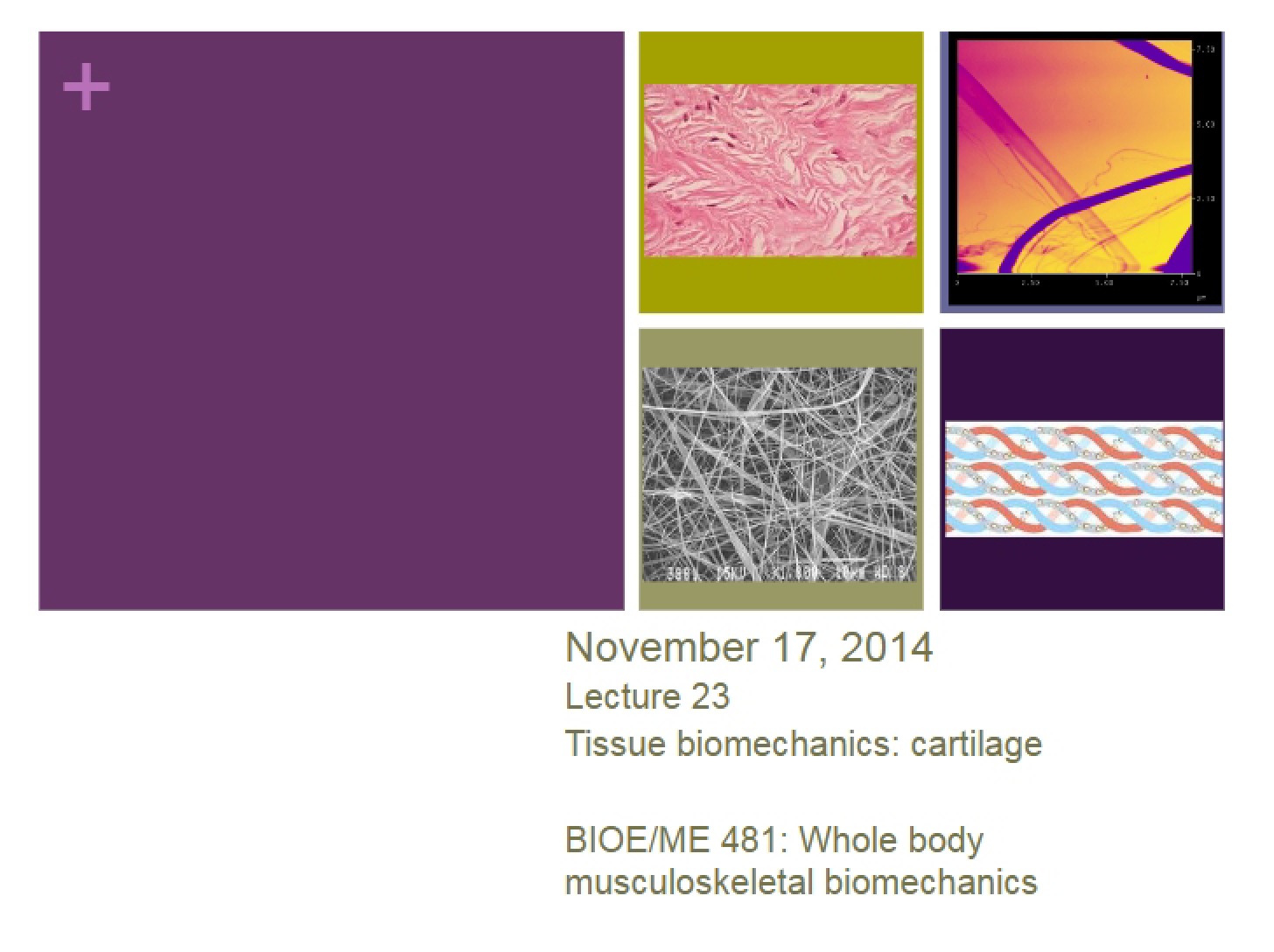 Lecture 23 Fall 2014