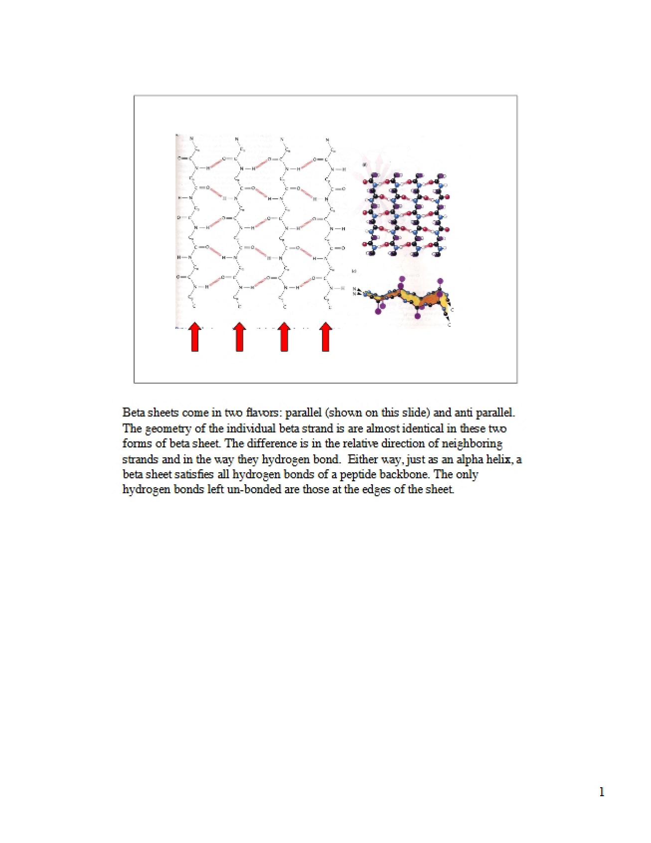 Beta Sheet Structures (2007)