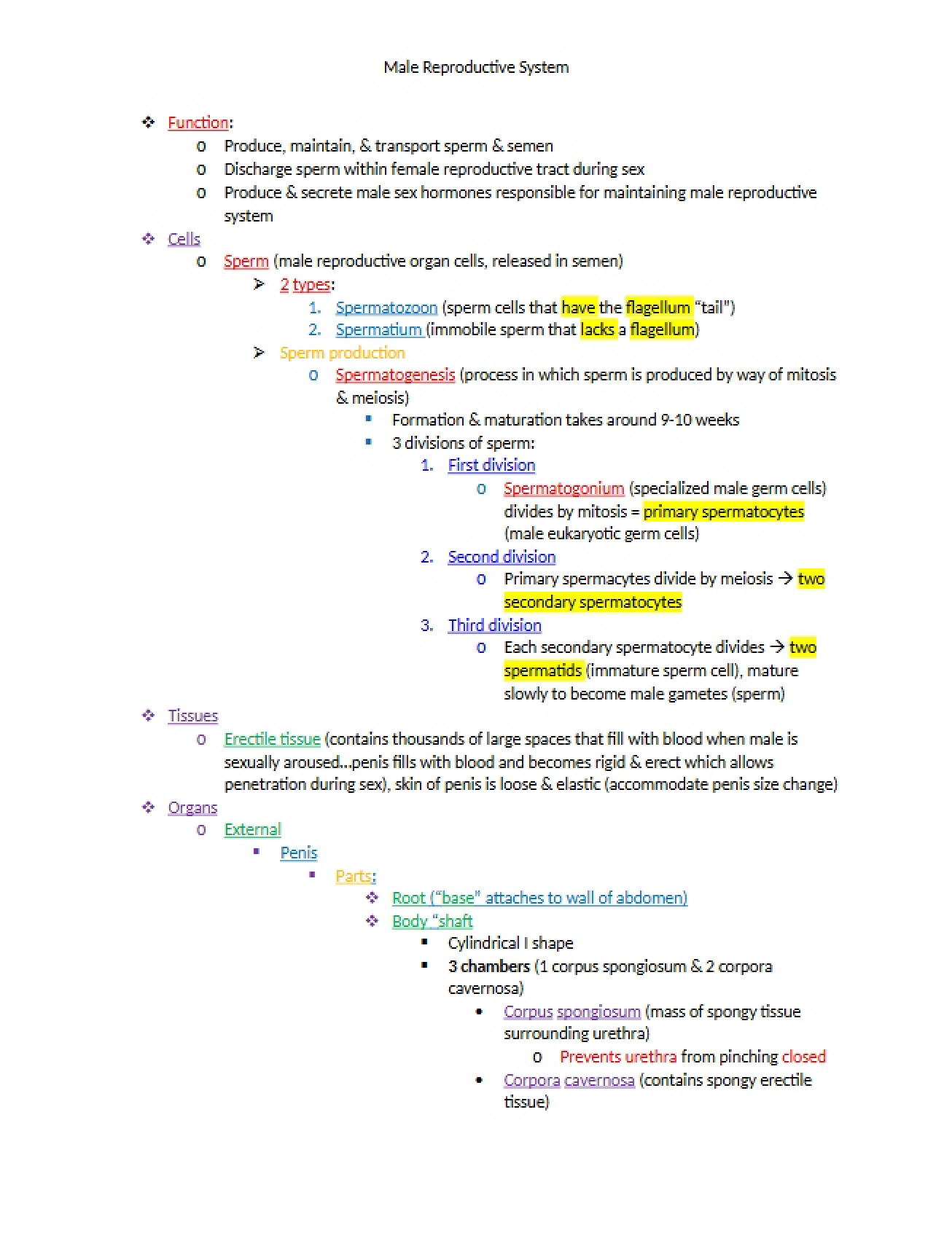 System of Male Reproduction