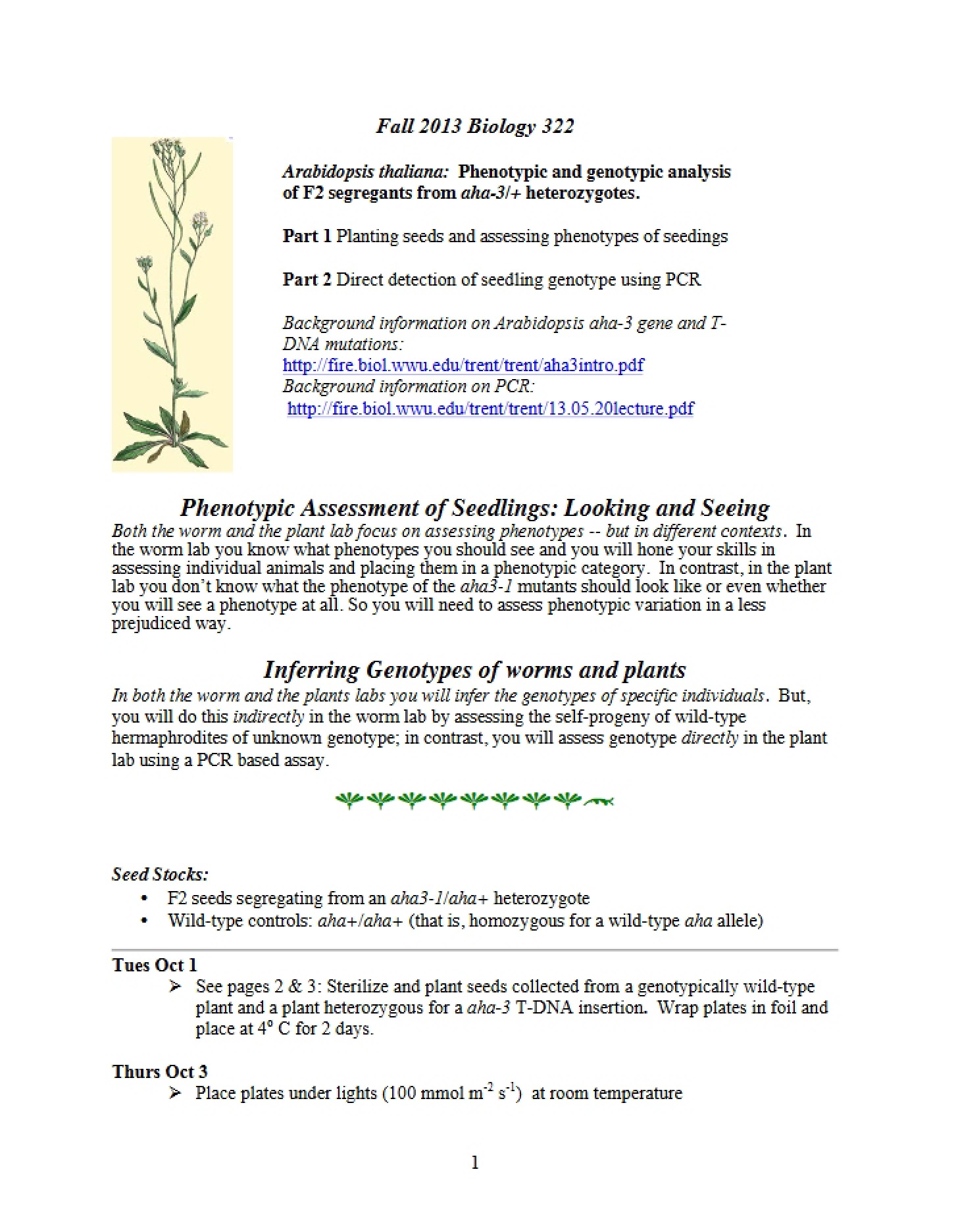 Study of Arabidopsis thaliana