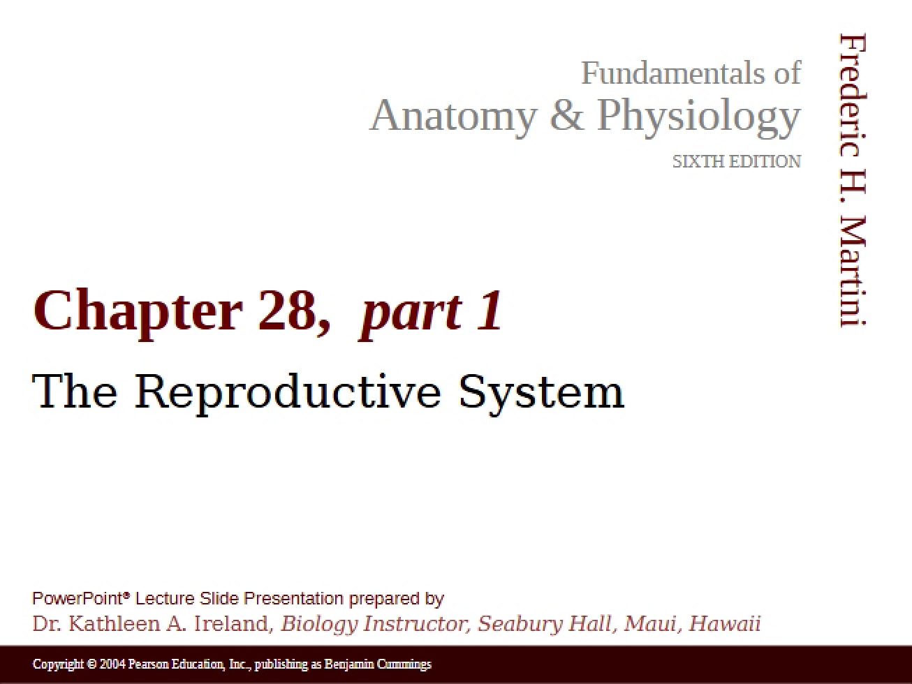 Reproductive System Overview