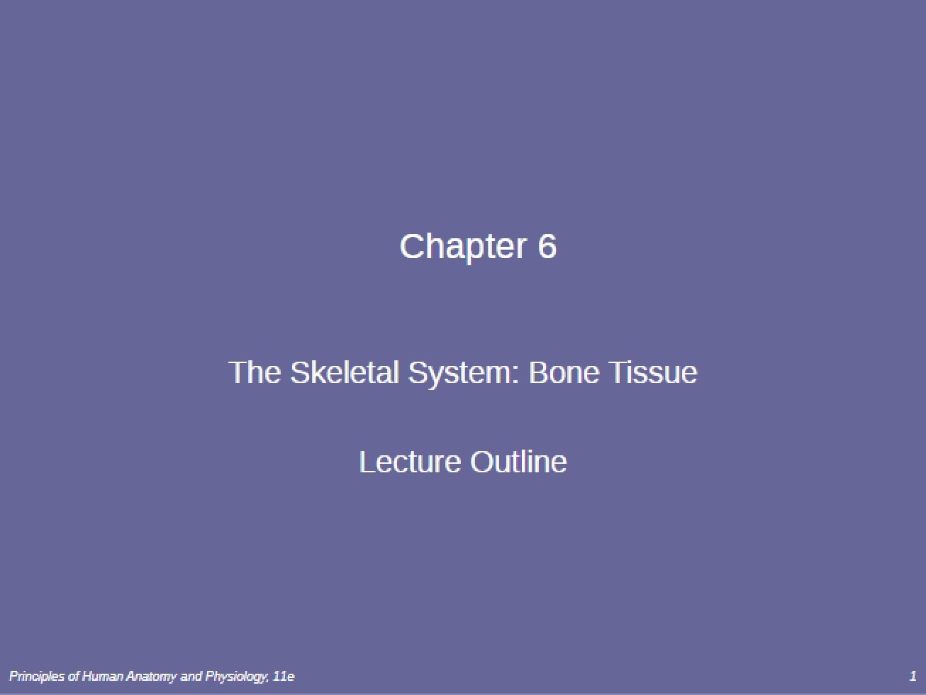 System of the Skeleton - BSC 2093C